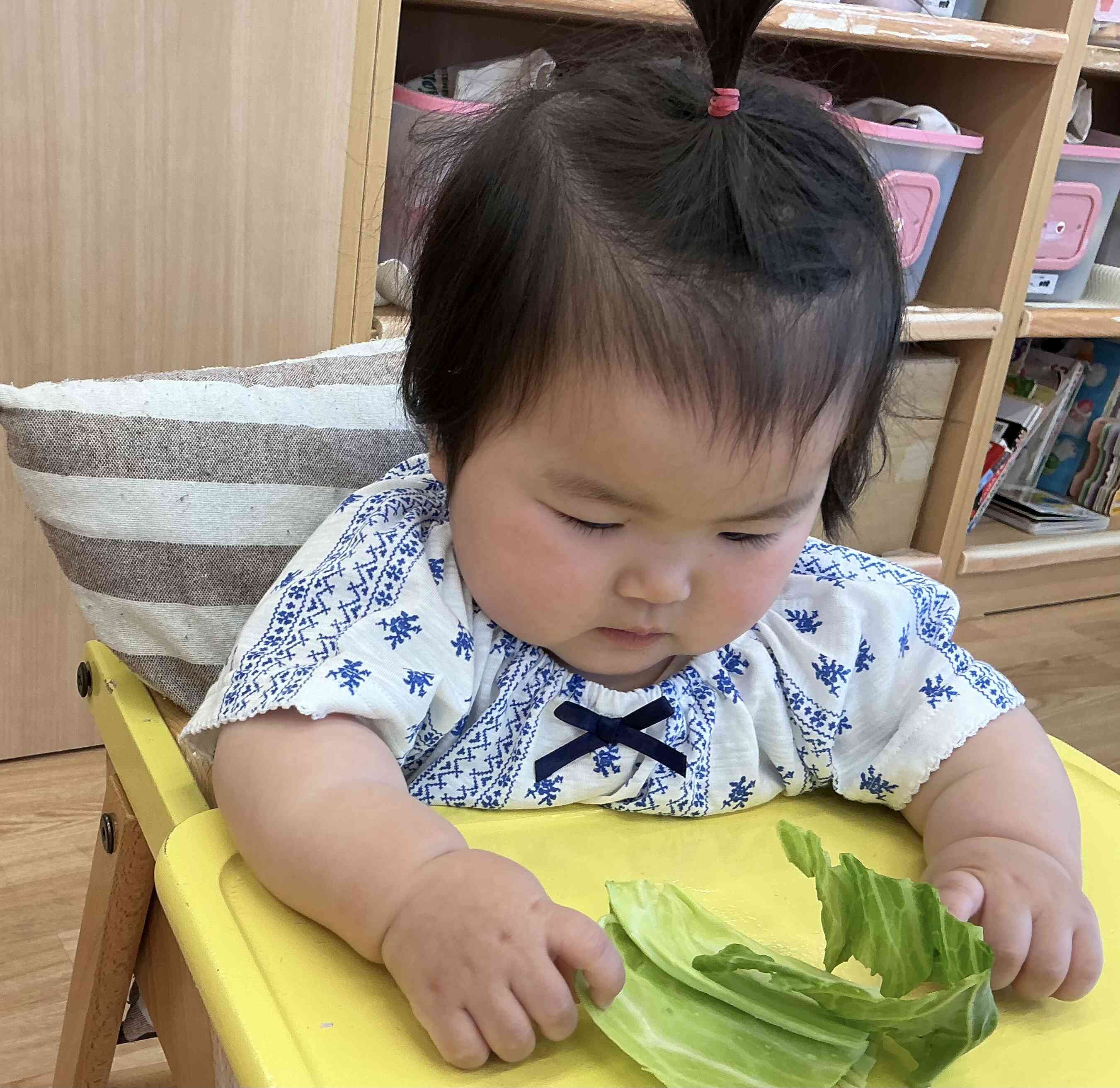 大きな葉っぱだね！