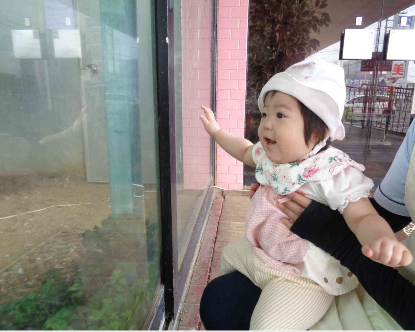 ひよこ組（0歳児）〜お散歩に行ったよ