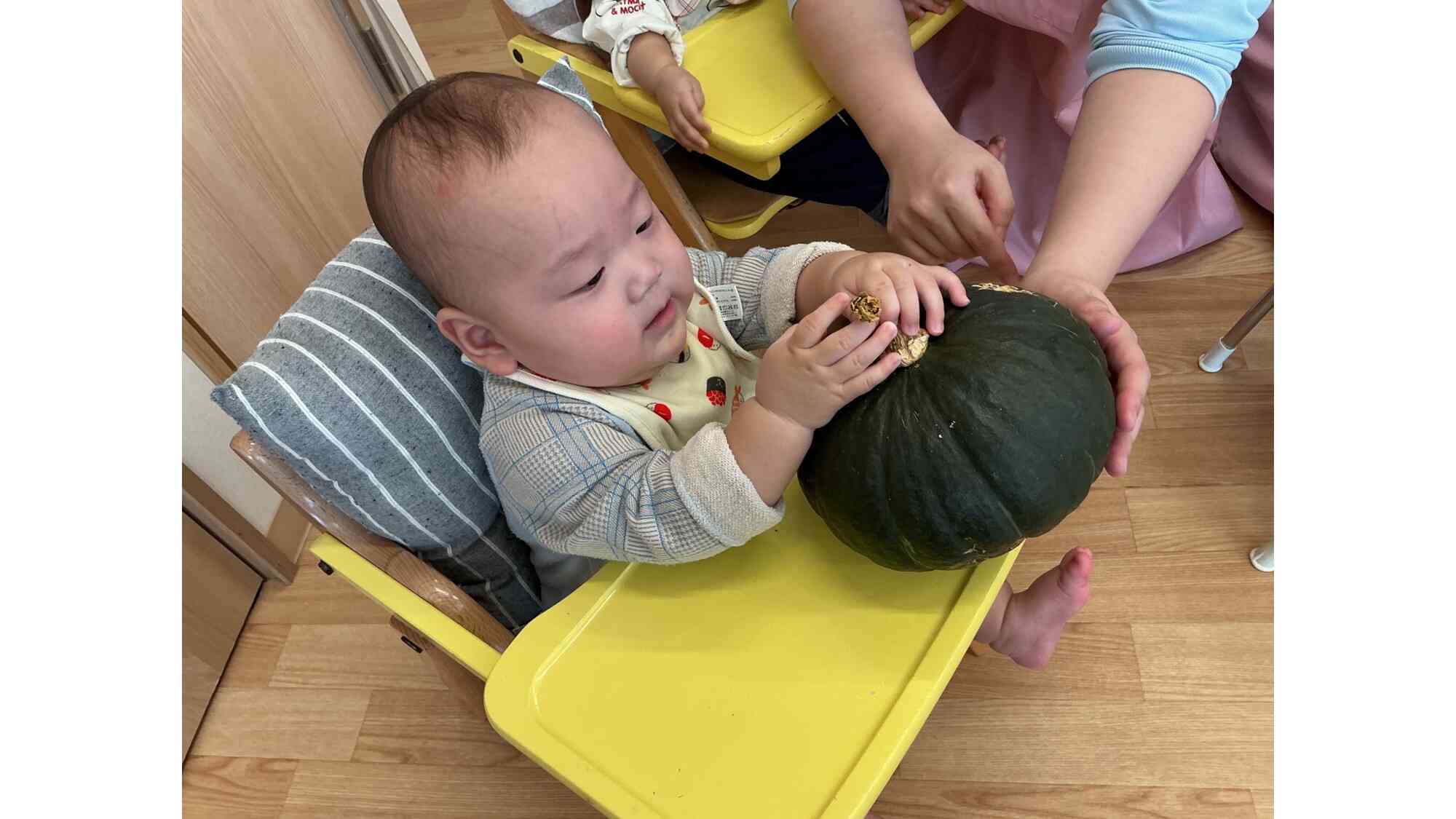 食育~かぼちゃの種取りしたよ~(0・1・2歳児)