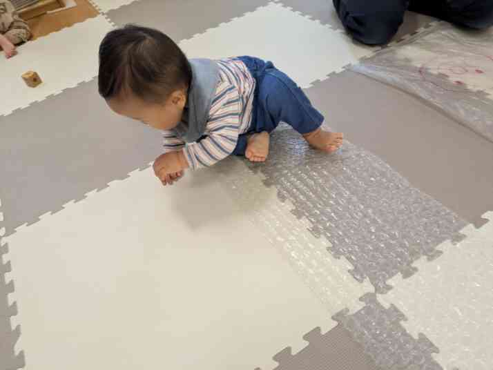 感触遊び　ボール遊び　ひよこ組(0歳児）