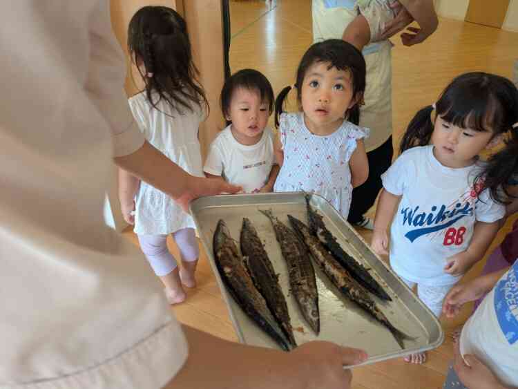 小さいクラスのお友だちも焼けたさんまを目の前で見せてもらいました！