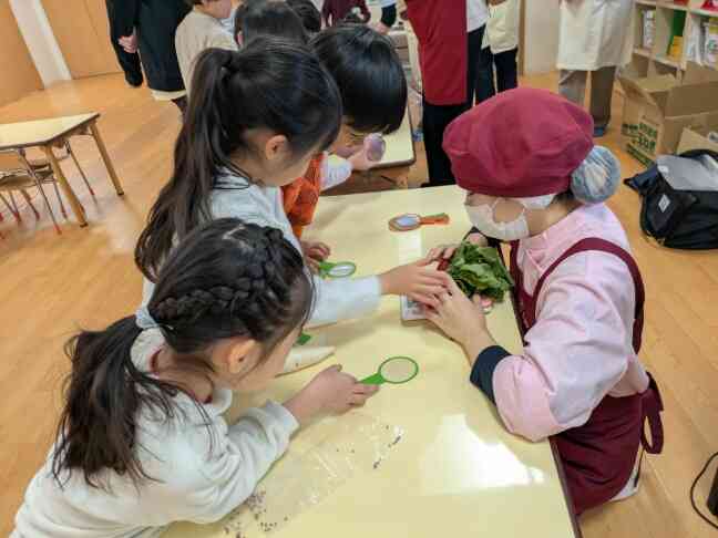 だいこんの食育(東京都すくわくプログラム)