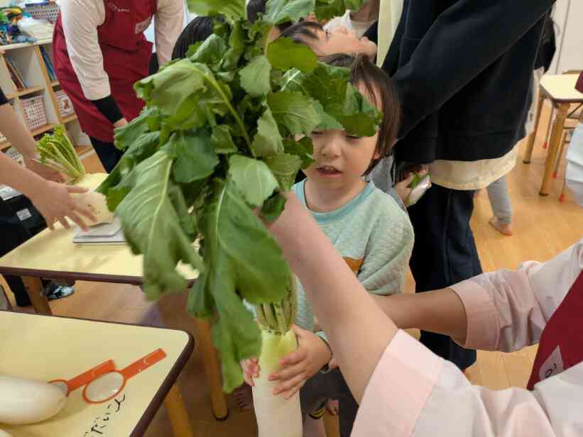 僕の顔より大きい葉っぱだね！