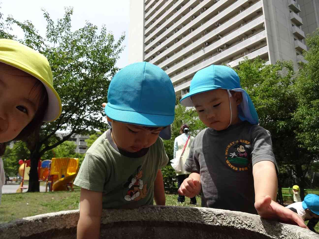 ちょっと触ってみる？（恐る恐る…）そしてちらっとりす組（１歳児）のお友だち…