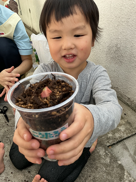 ★二十日葱（はつかねぎ）★