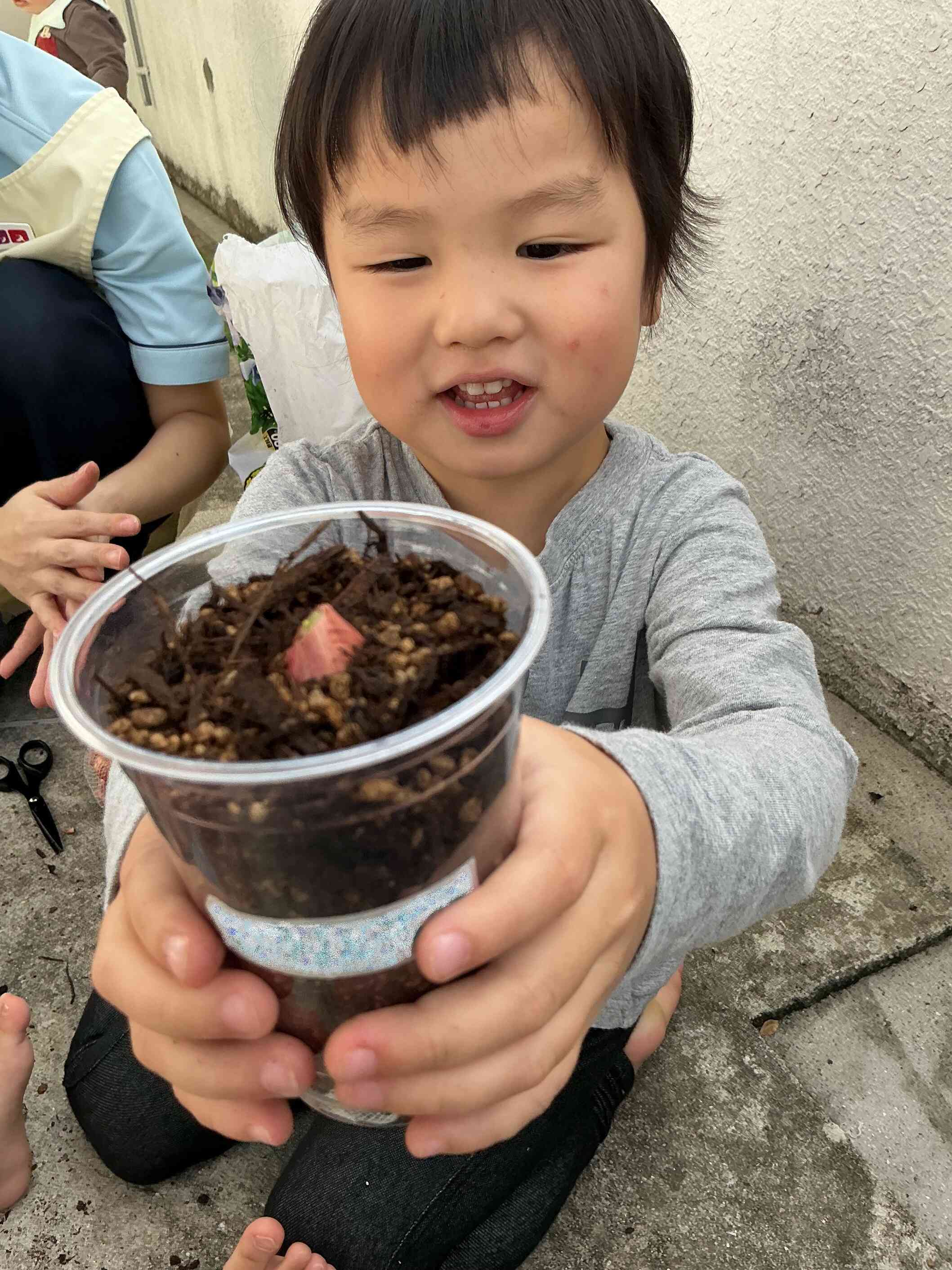 ★二十日葱（はつかねぎ）★