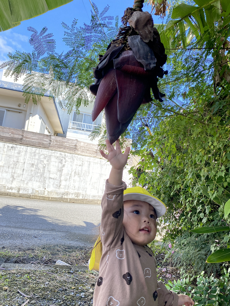 ★みんなでおさんぽ　バナナ発見！★