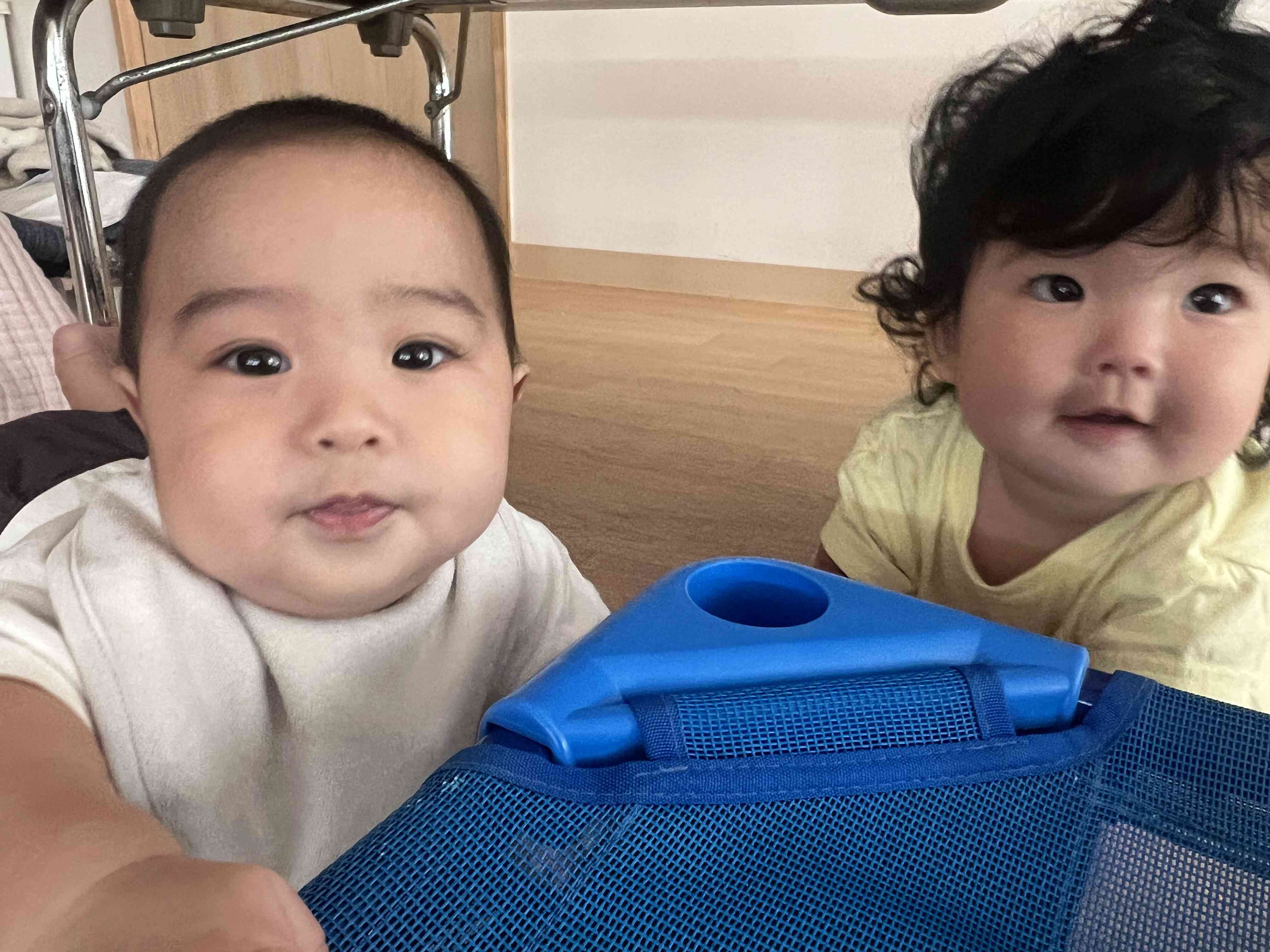 仲良しの瞬間をぱちり