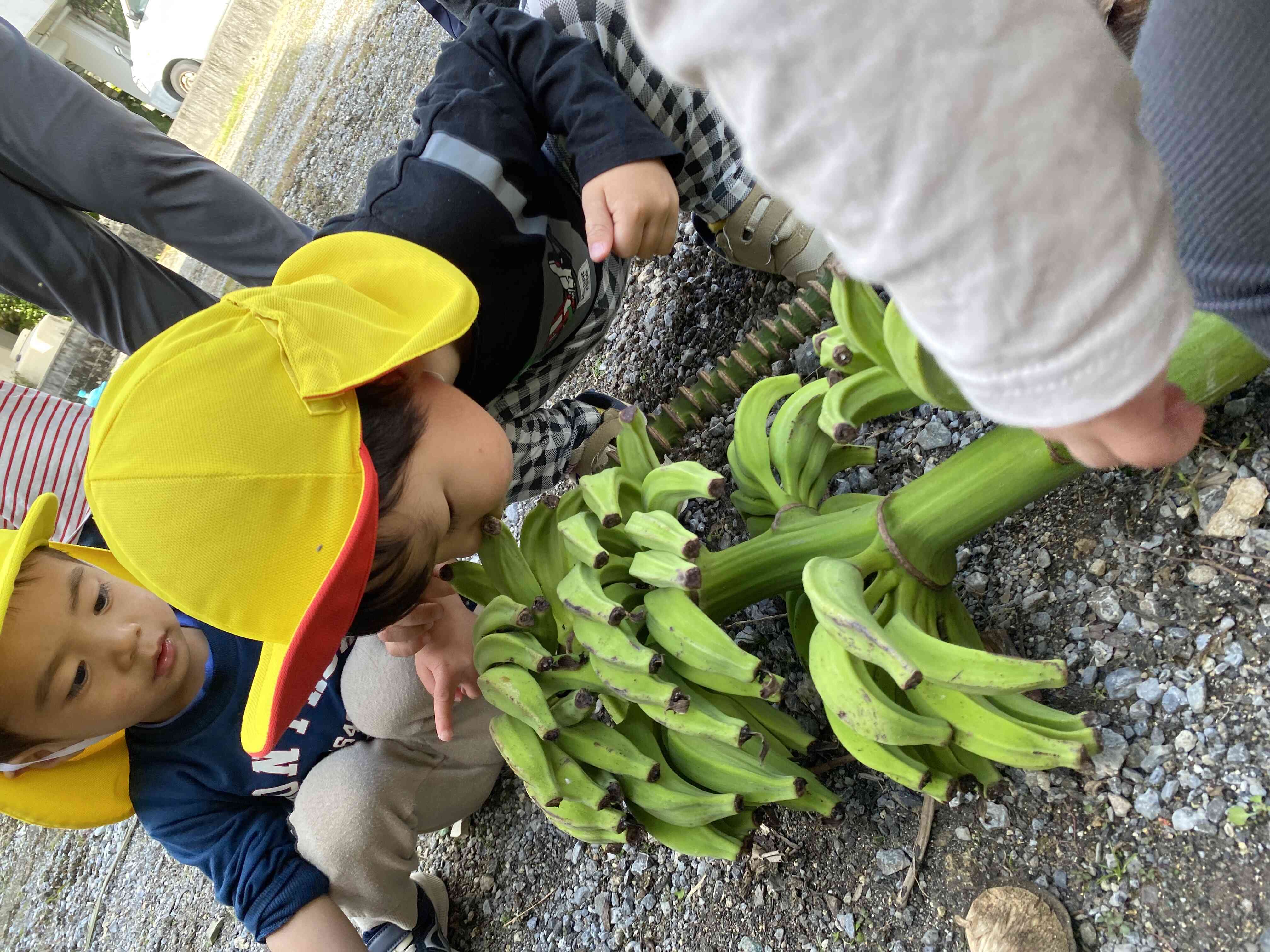 ★おさんぽ（手つなぎチーム）