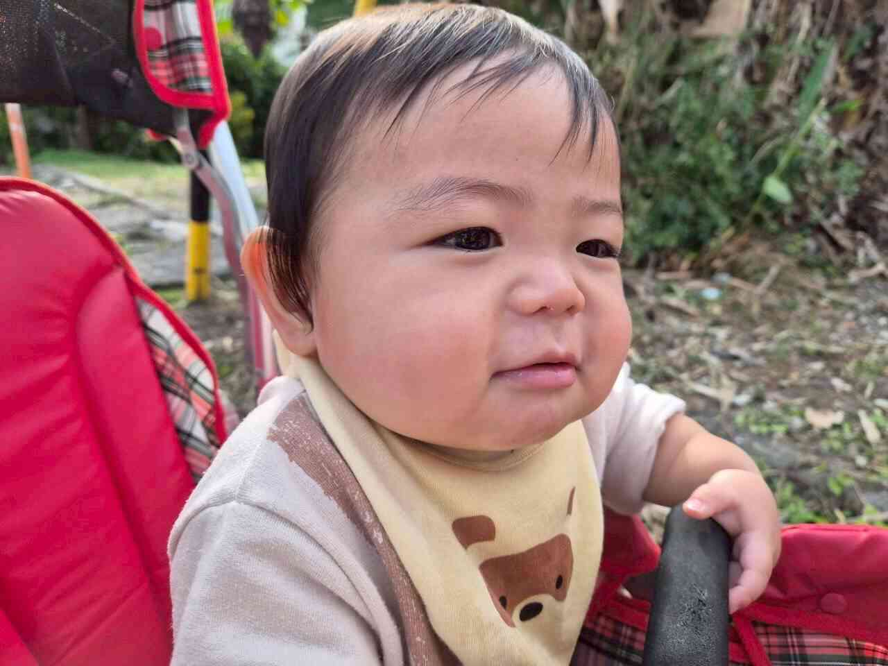 カートでおさんぽ