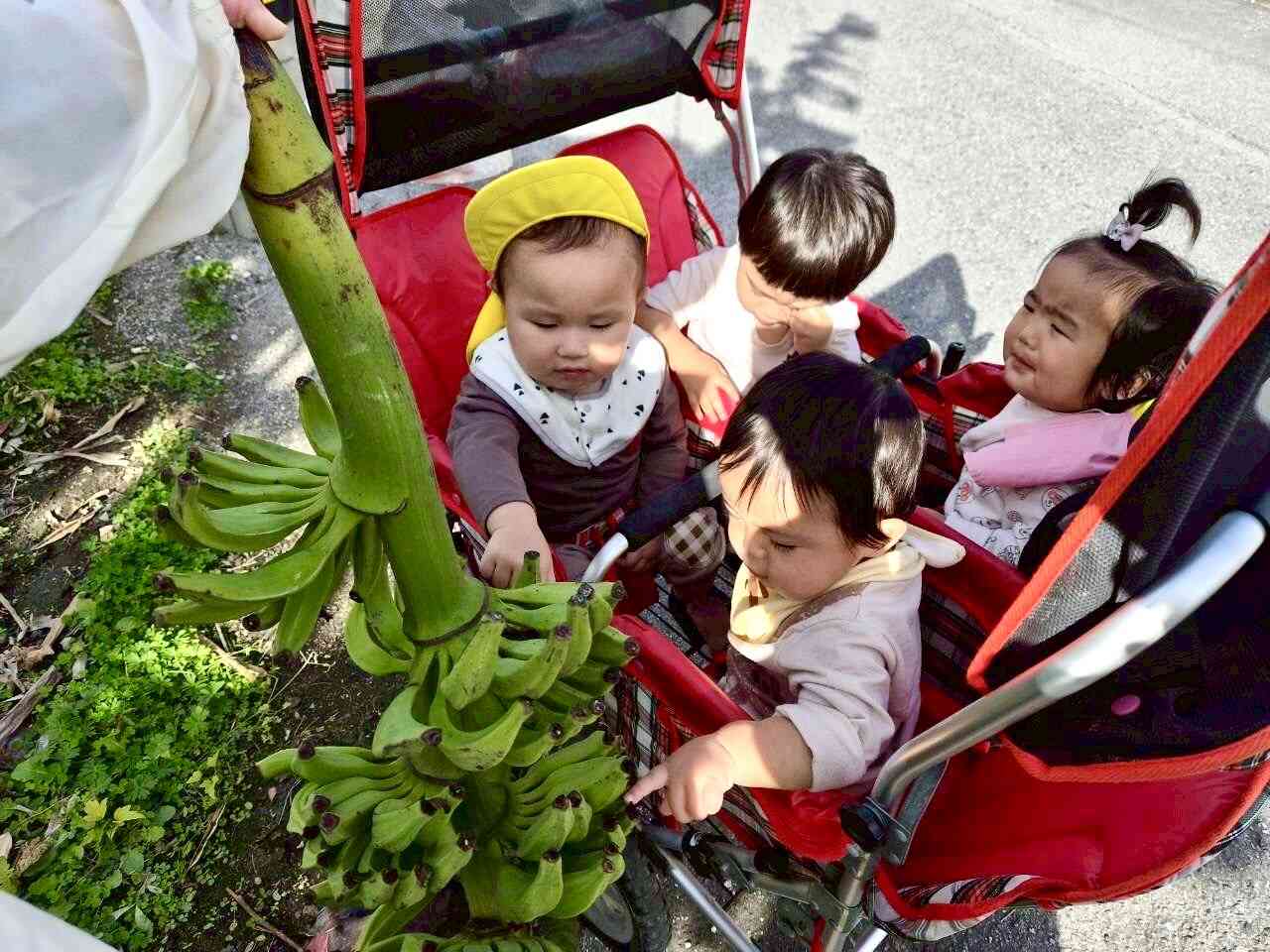 つんつん、してみよう