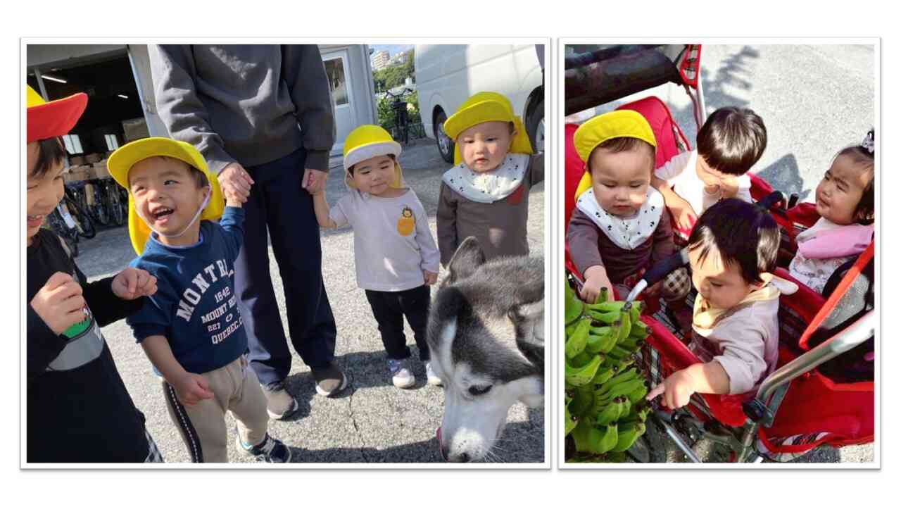 ～青空保育園～