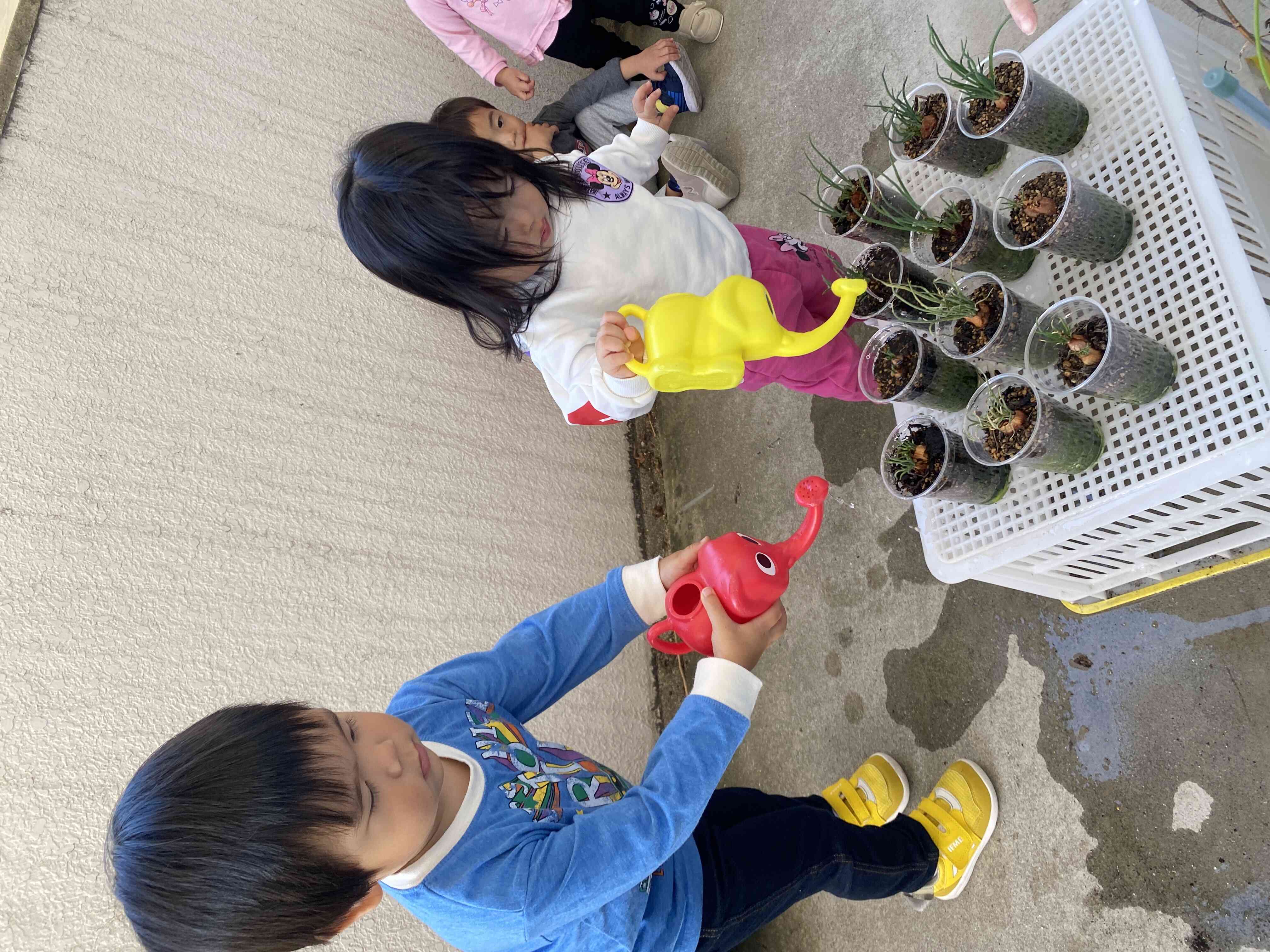 日常の中で行う、安全確認