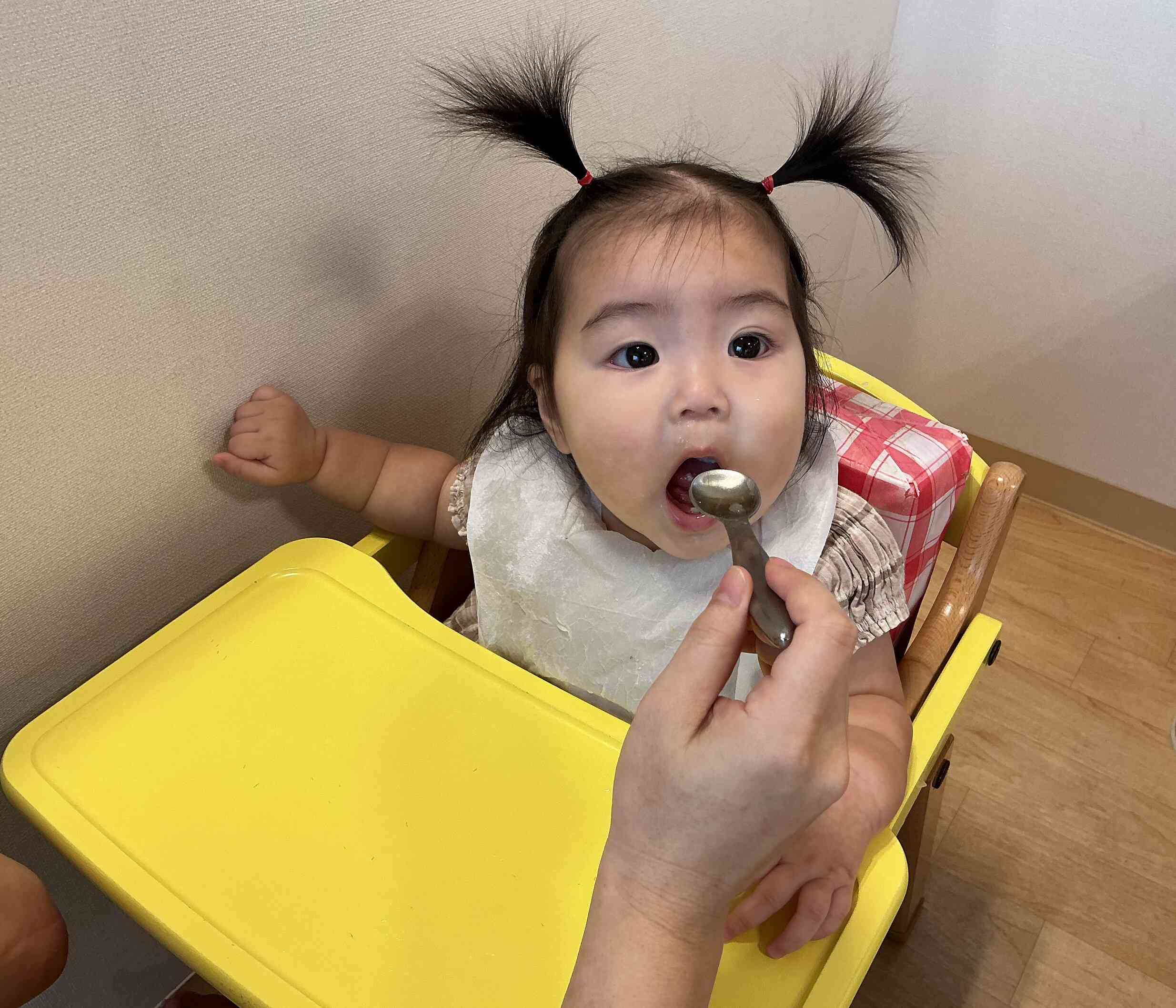 見学受付中｜園児募集中！