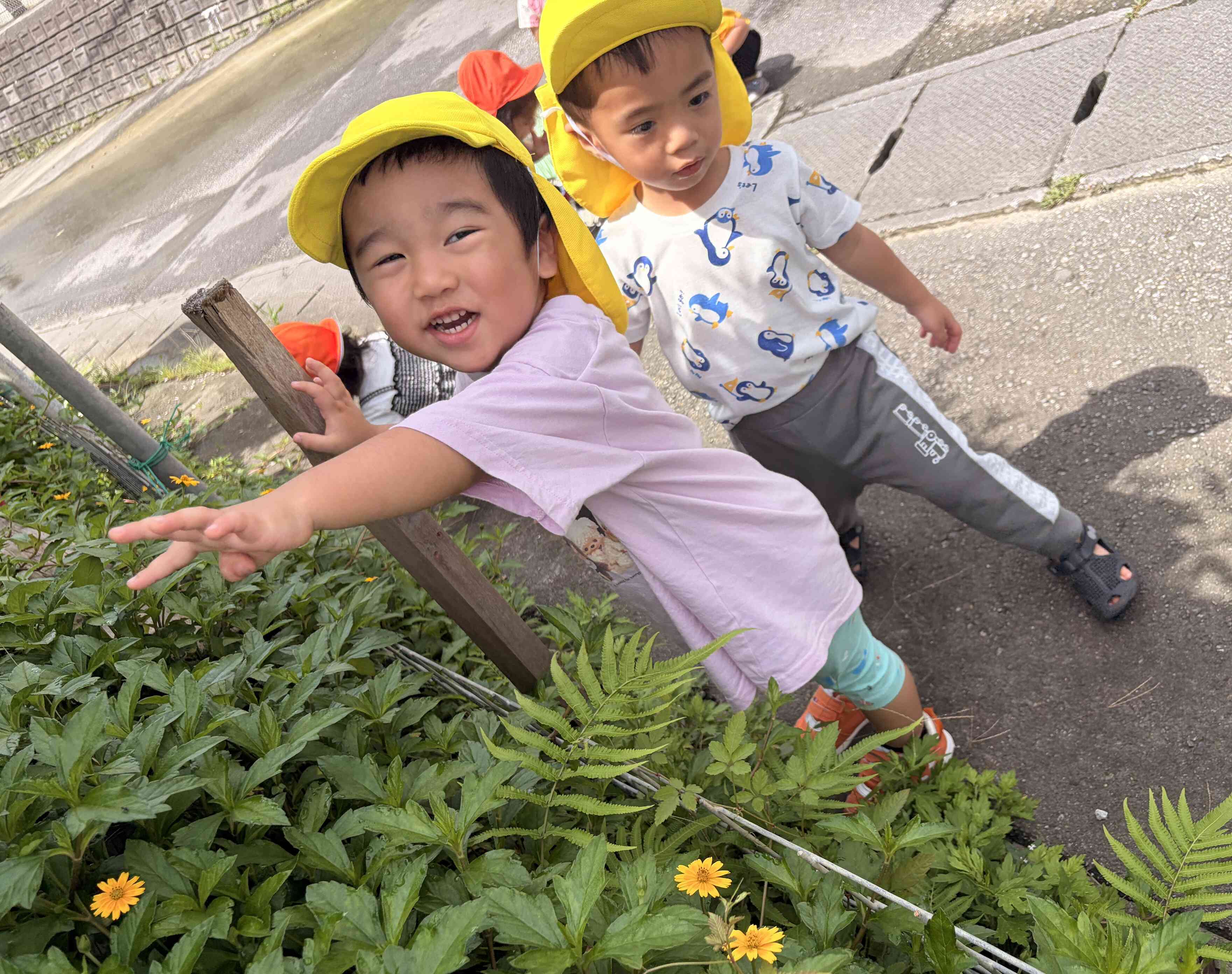 今日はお散歩に行くよ〜！