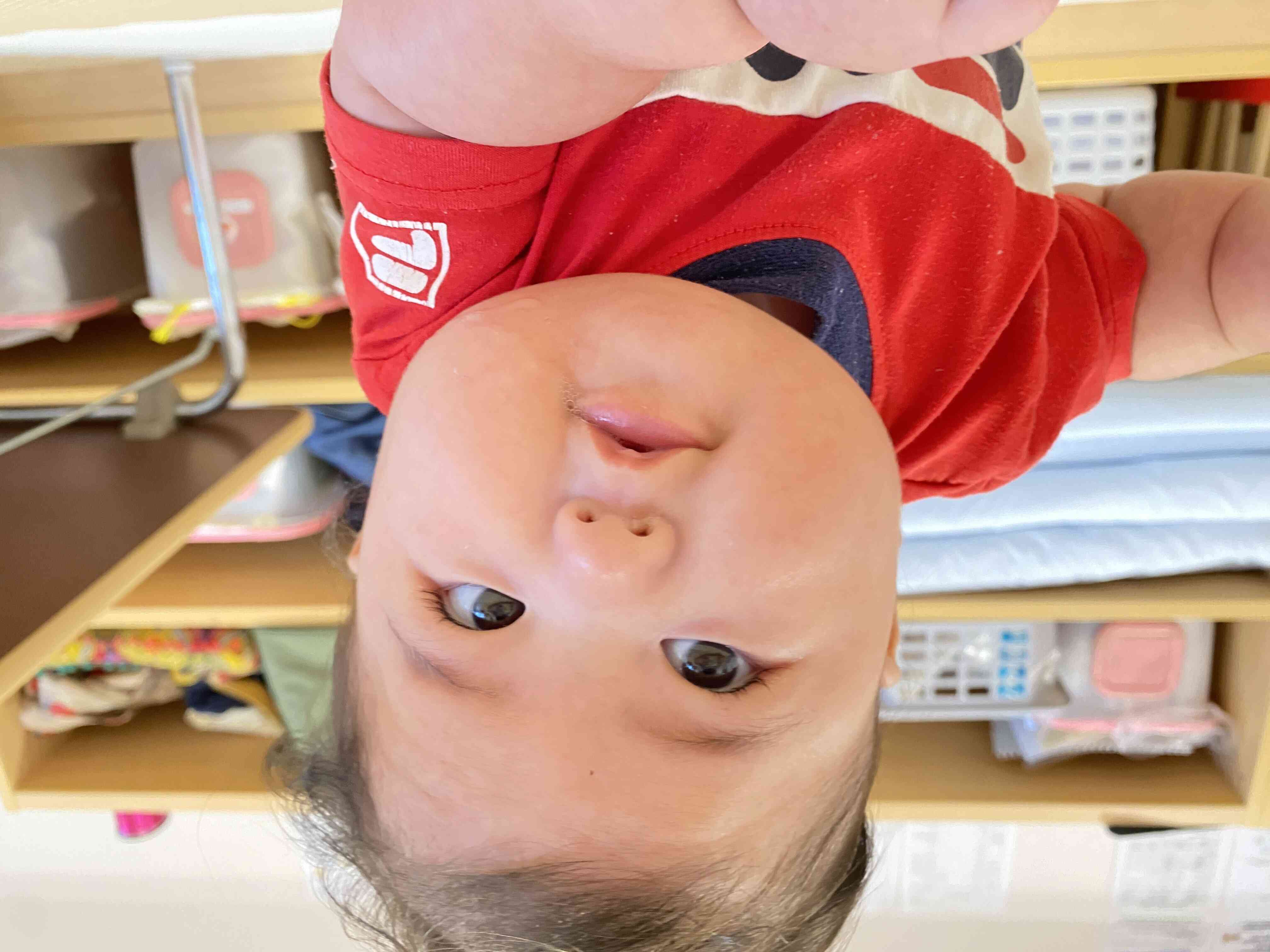 0歳児の保育参加の様子