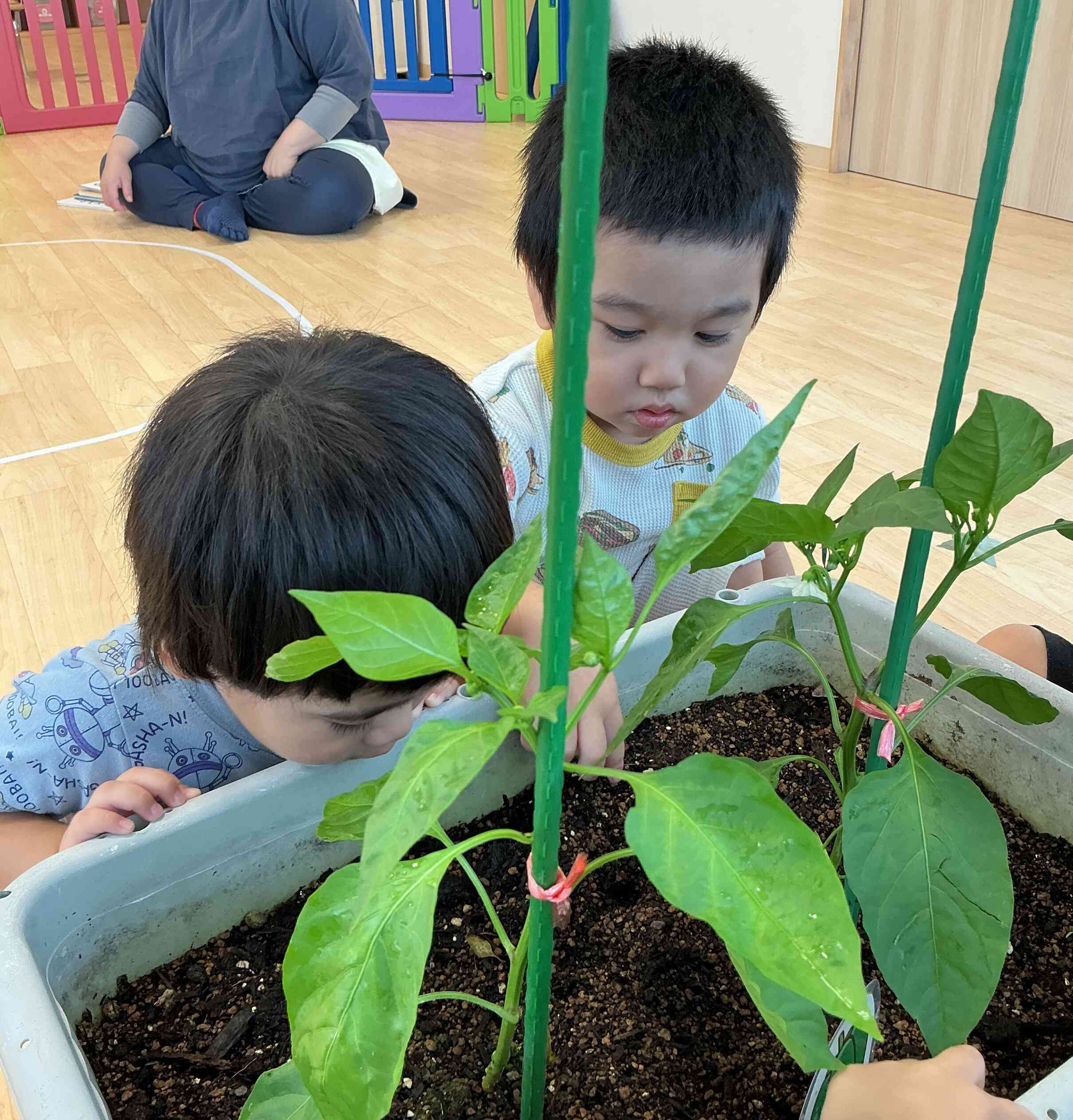 土のにおいも発見！