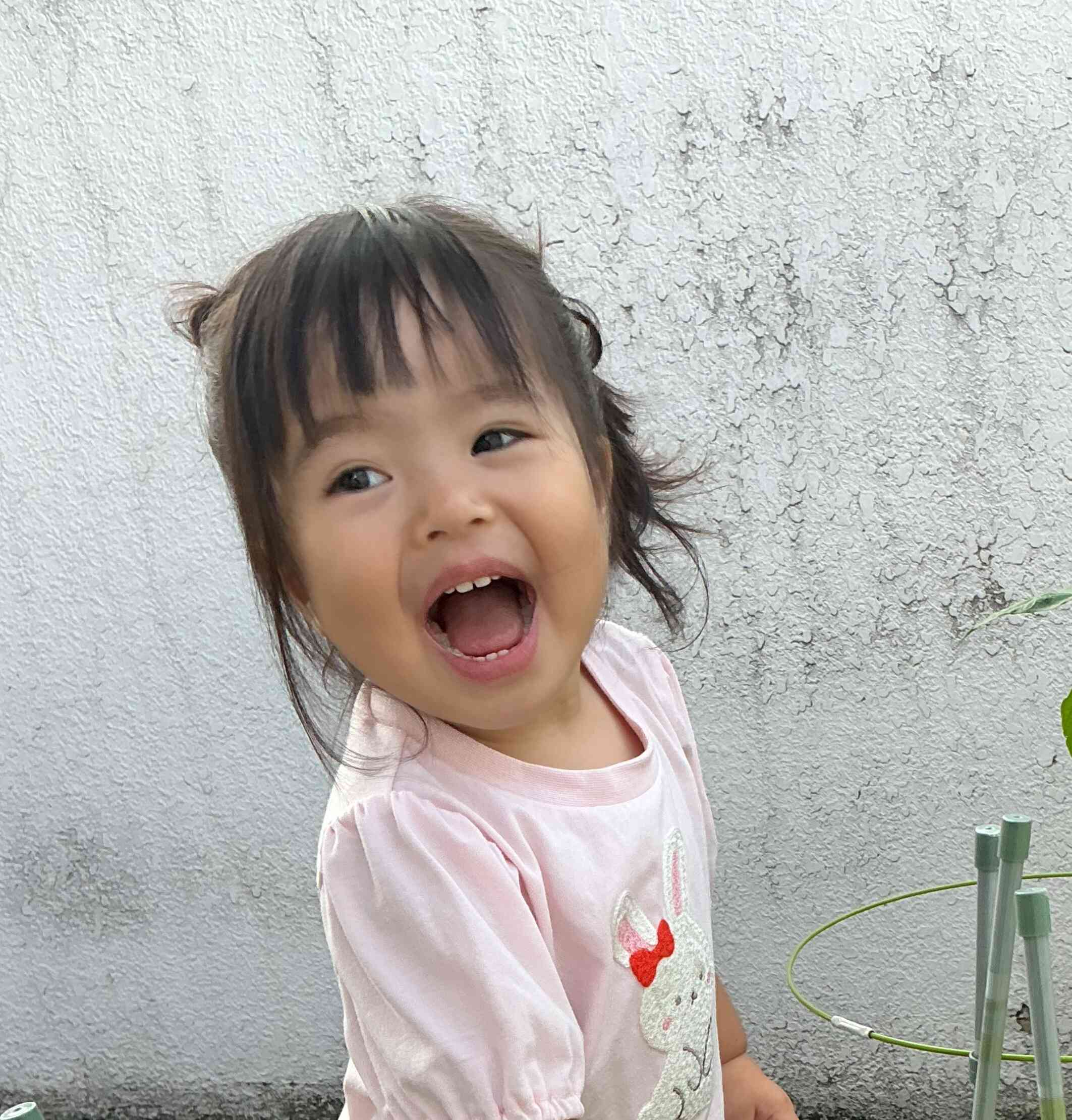 ピーマンの実がついた
