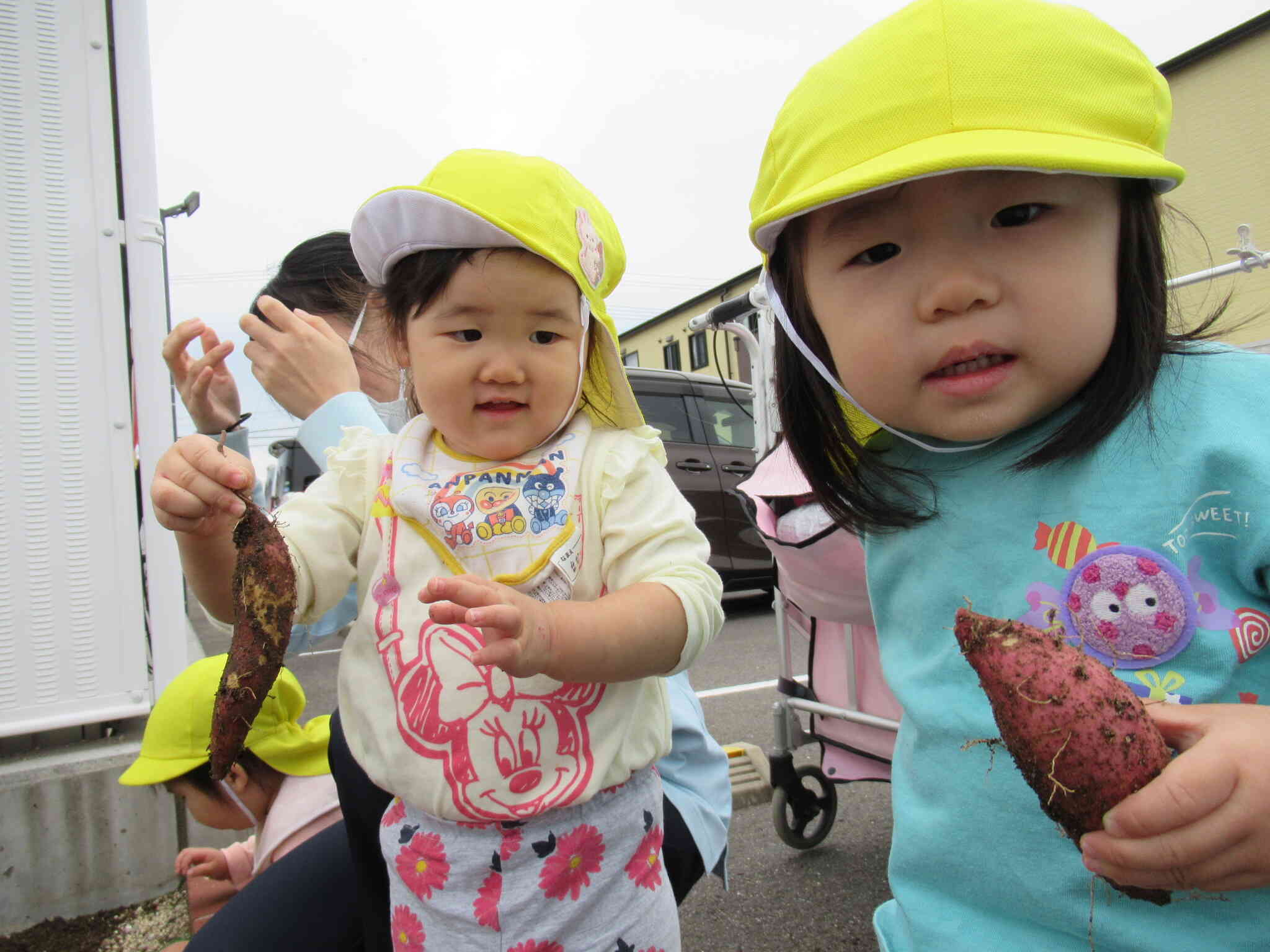 私のみつけたお芋も見て見て~!