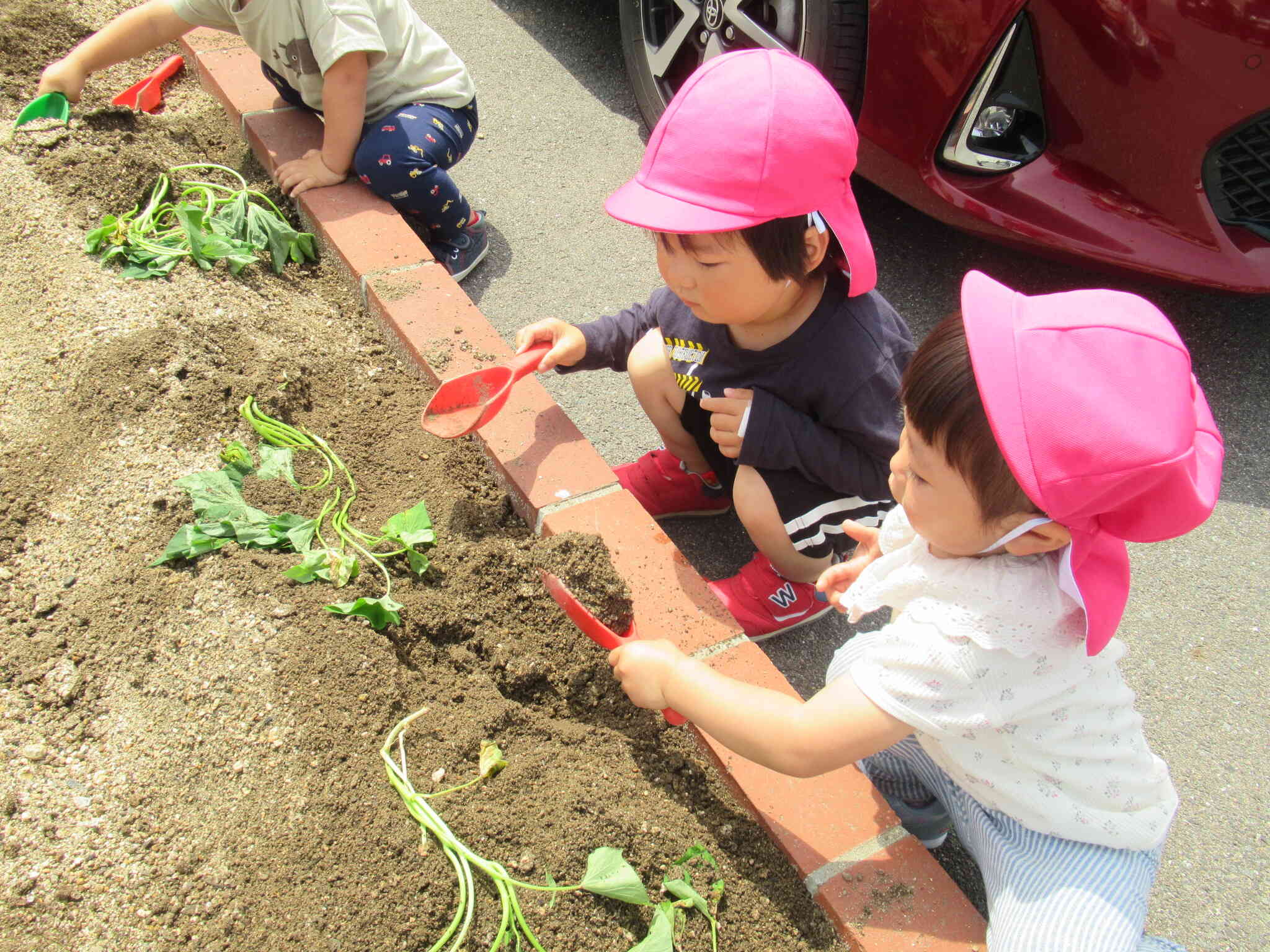 上手に植えられたよ！