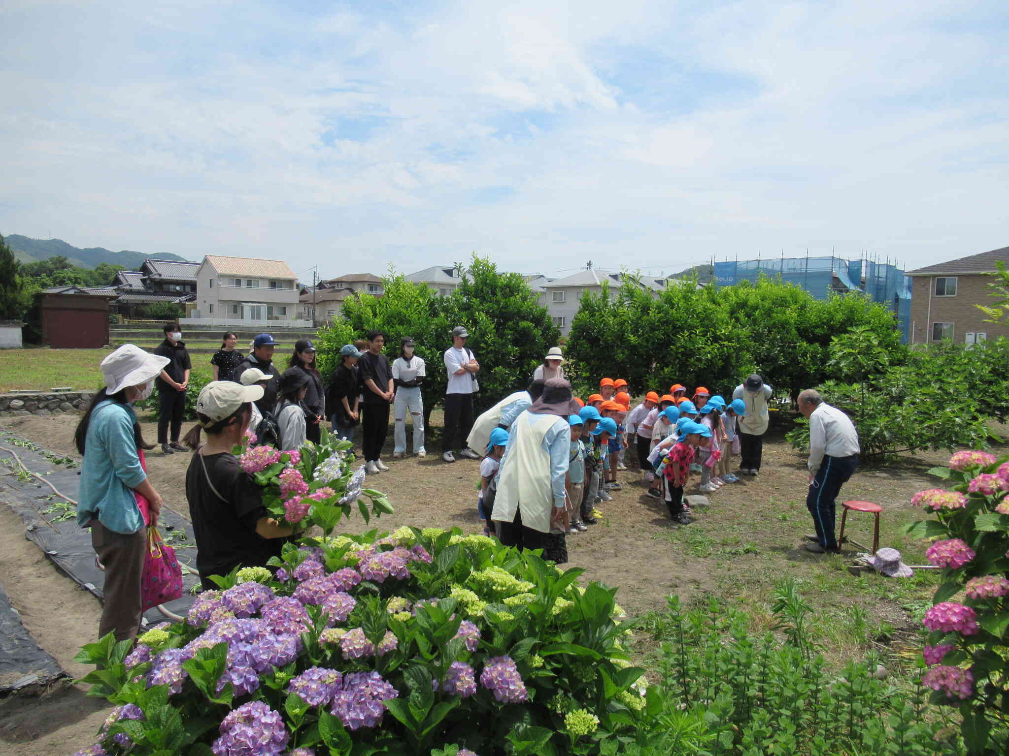 大きなお芋になりますように！
