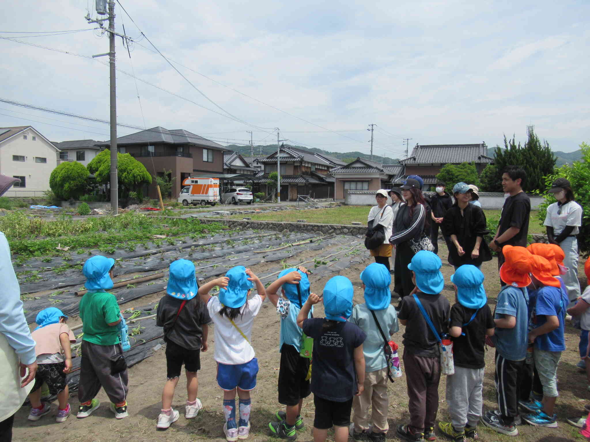 みんなで植えた苗、大きくなあれ！