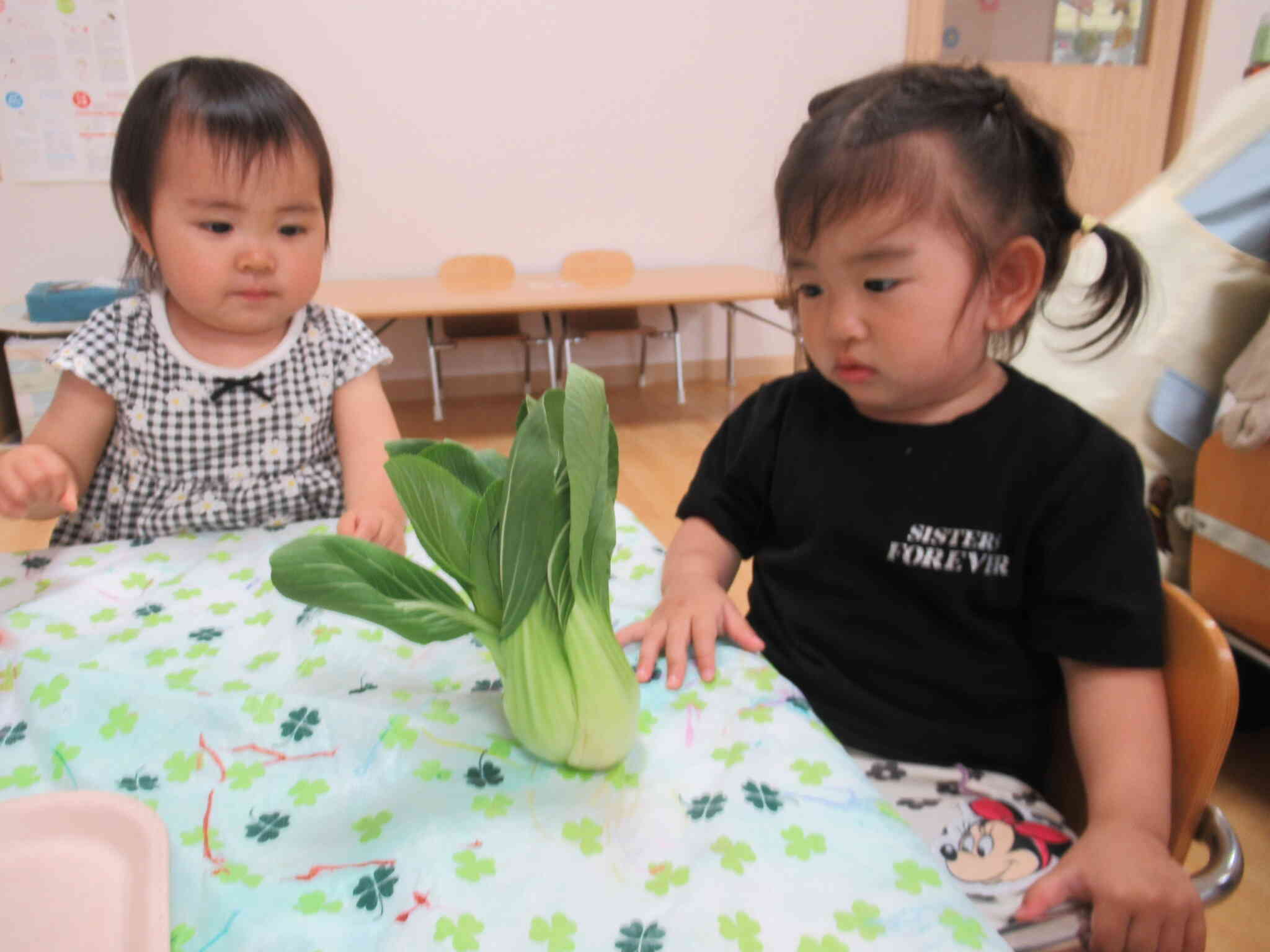 食育　0，1歳児クラス　野菜スタンプをしよう
