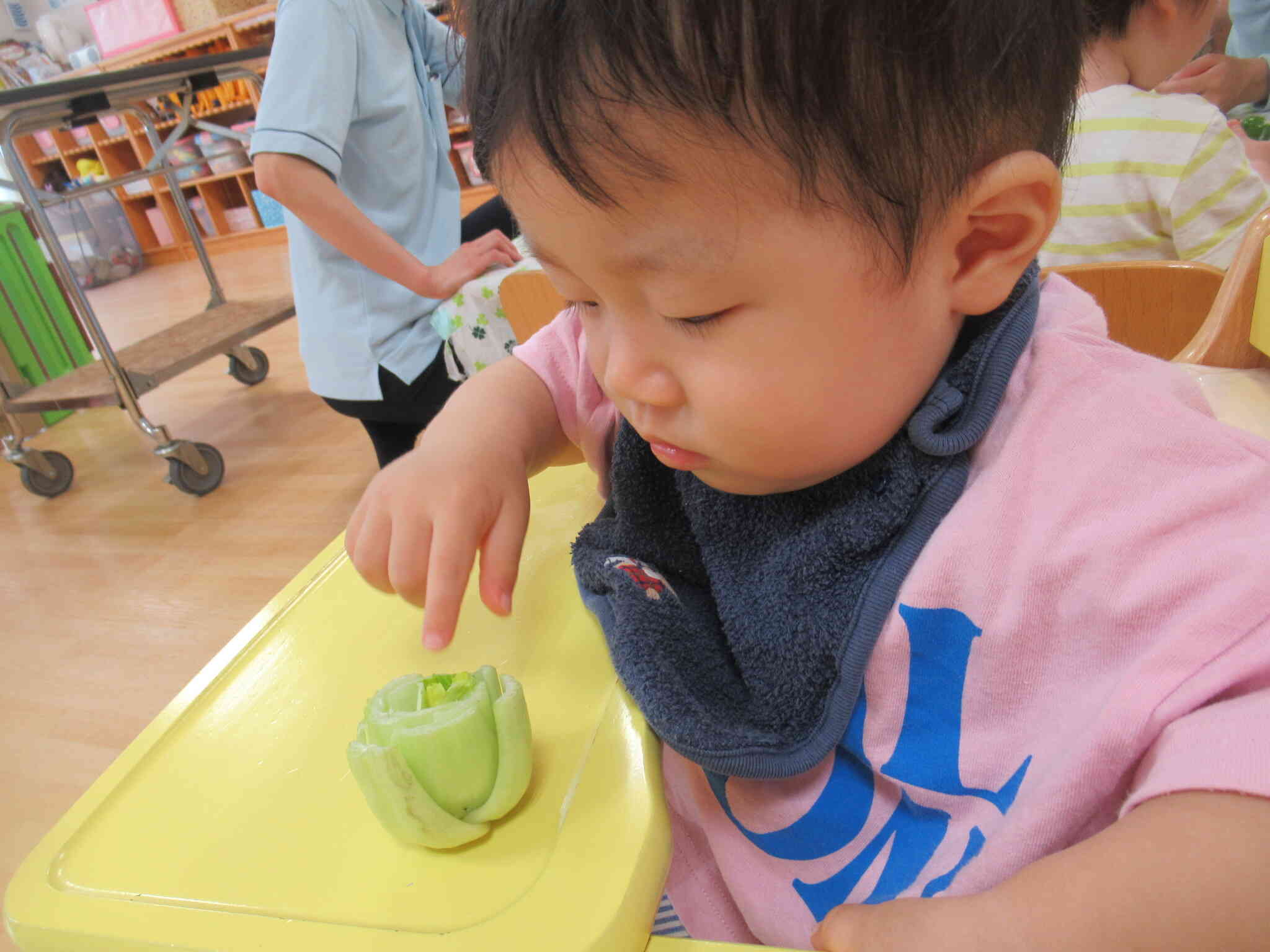 野菜のおなか観察中