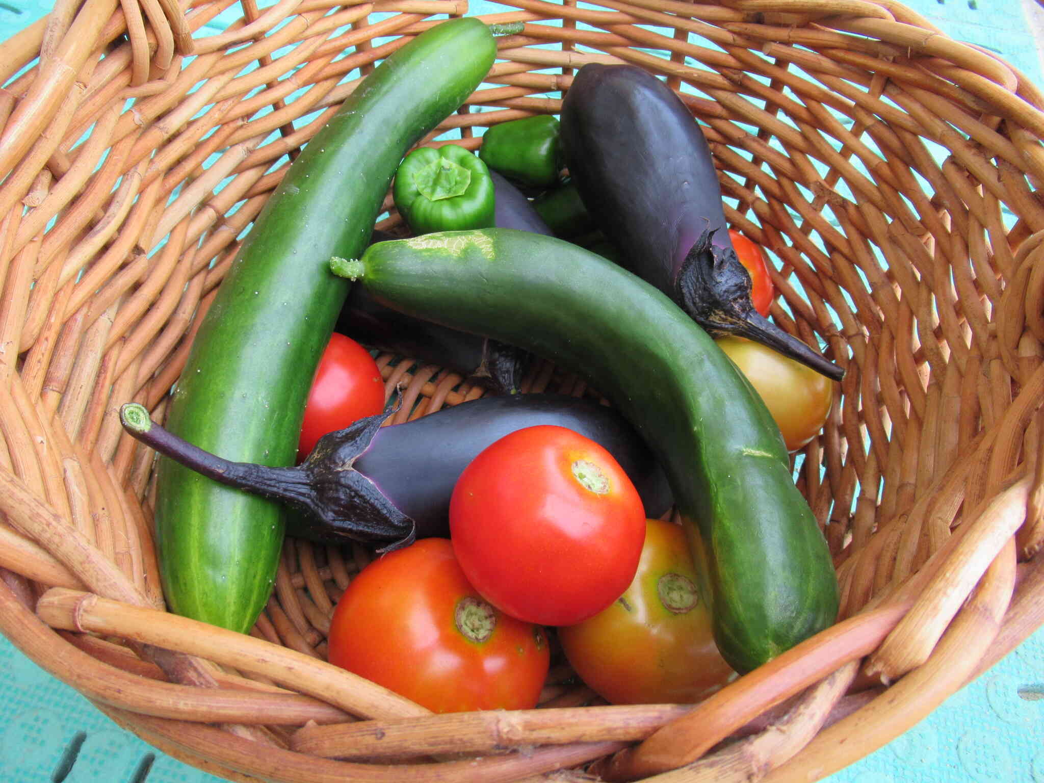 みんなで収穫した夏野菜♪