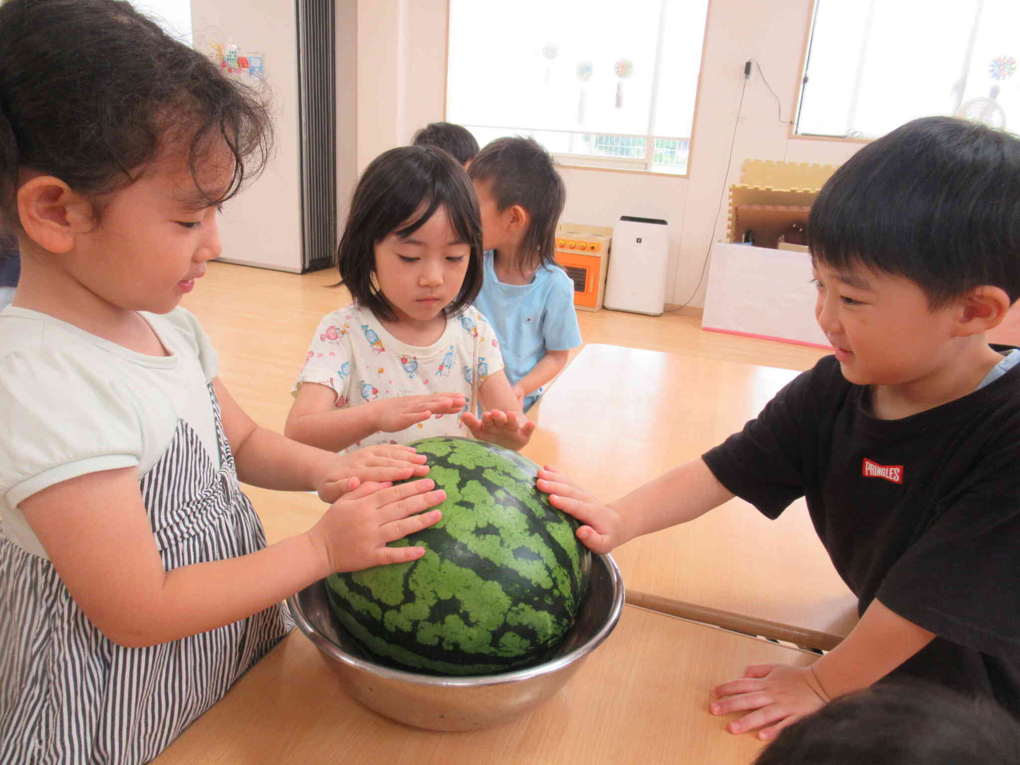 丸い大きなすいか、触ってみたよ