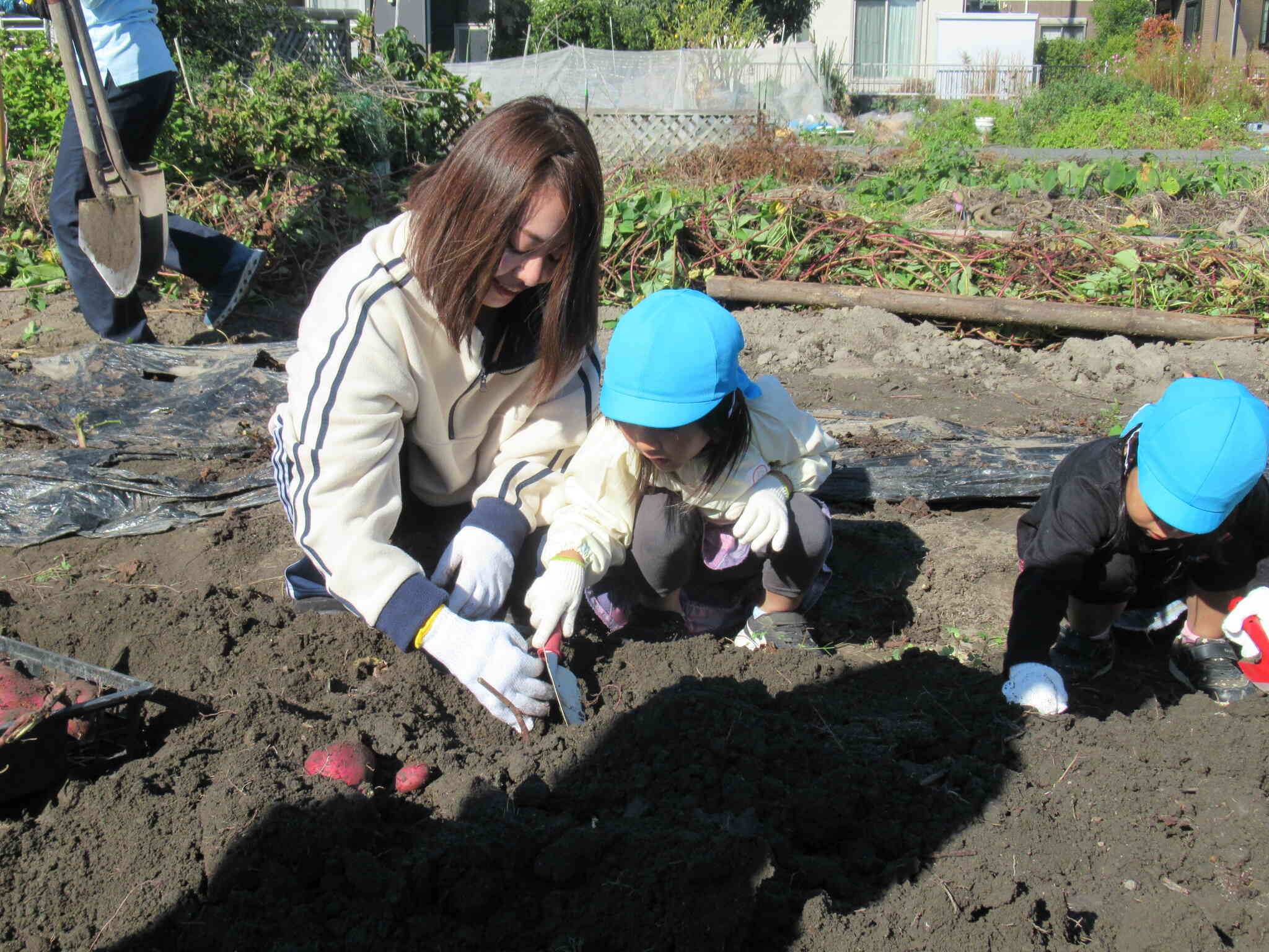 お家の人も一緒に参加してもらって、うれしいね。