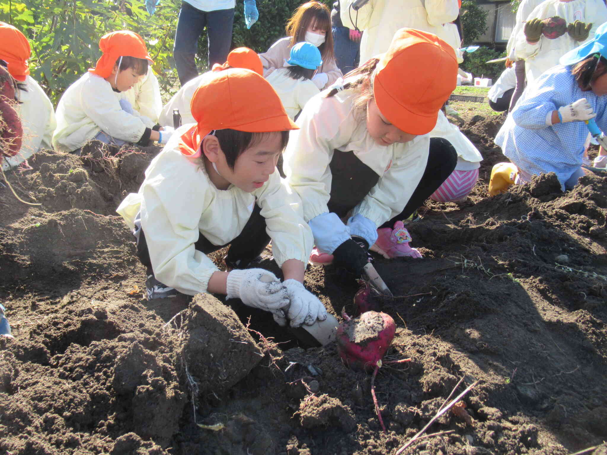 手伝って、これ大きいよ～。