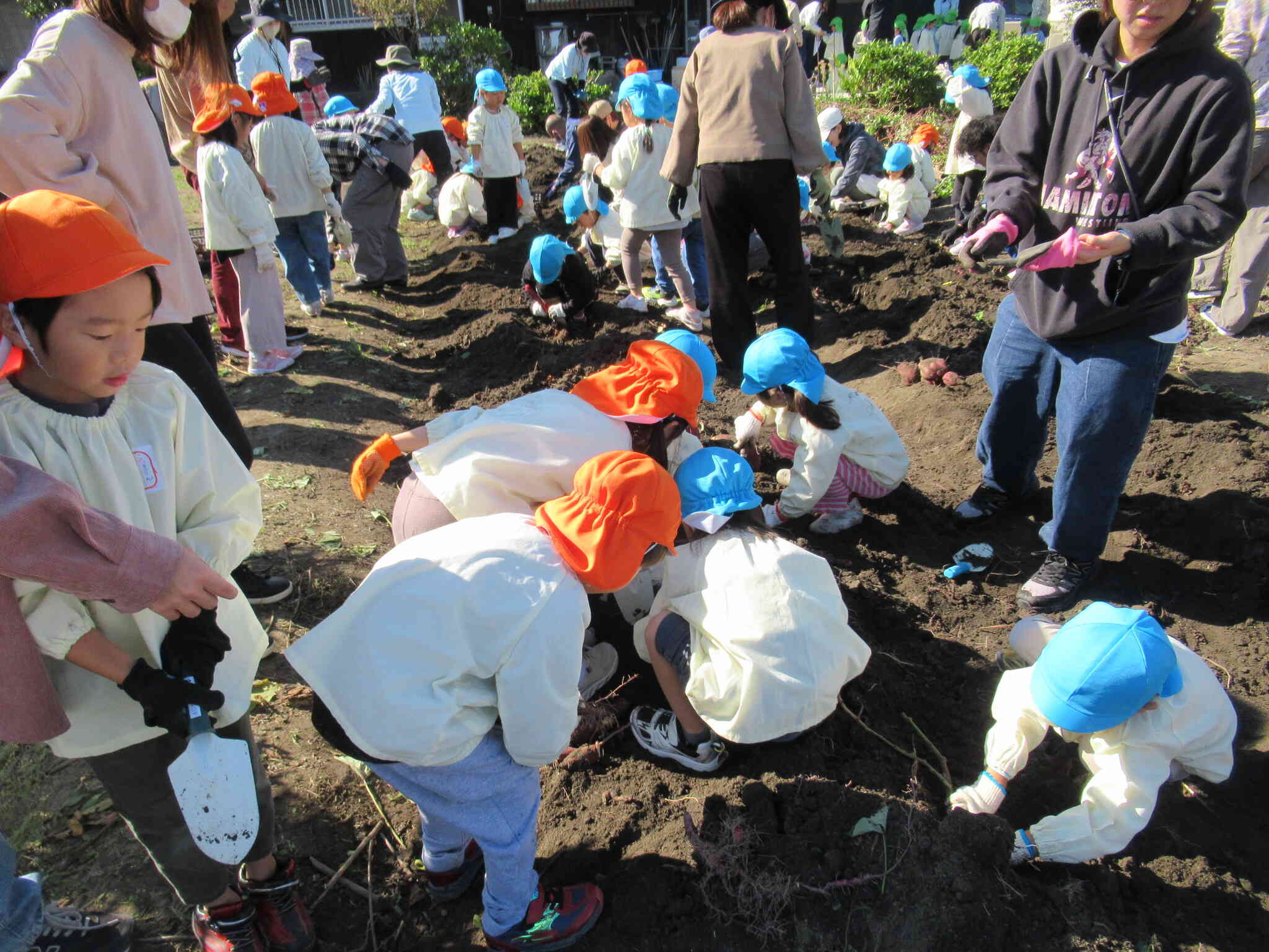 ちょっときて～、見てみて。