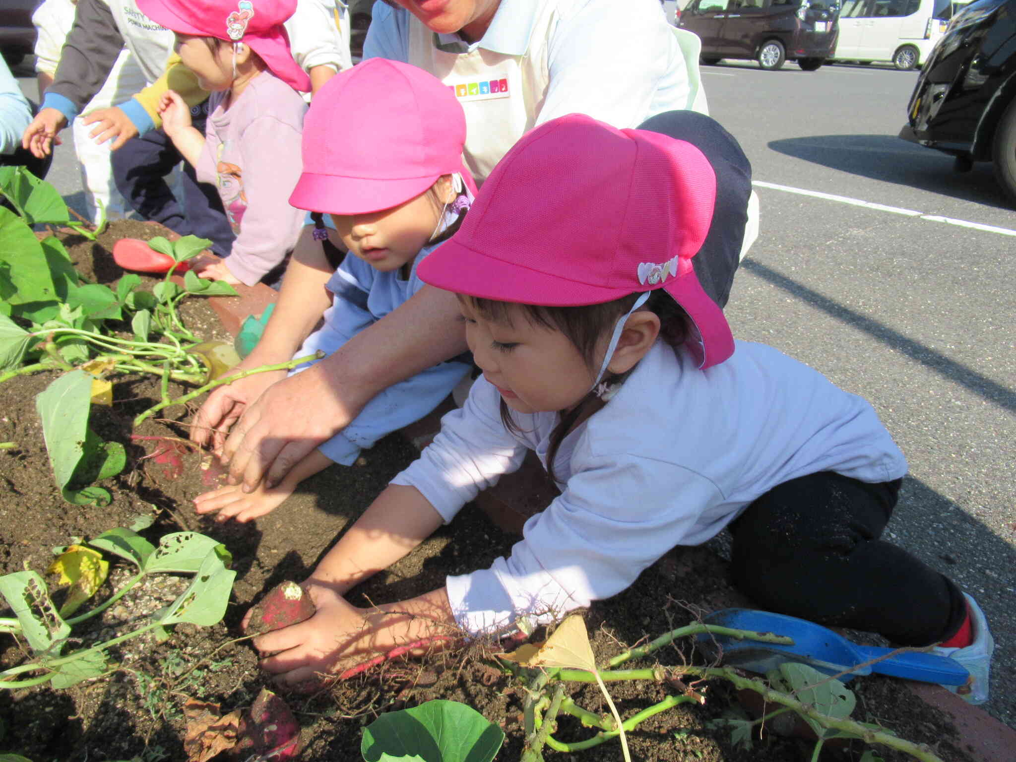 よいしょ！よいしょ！