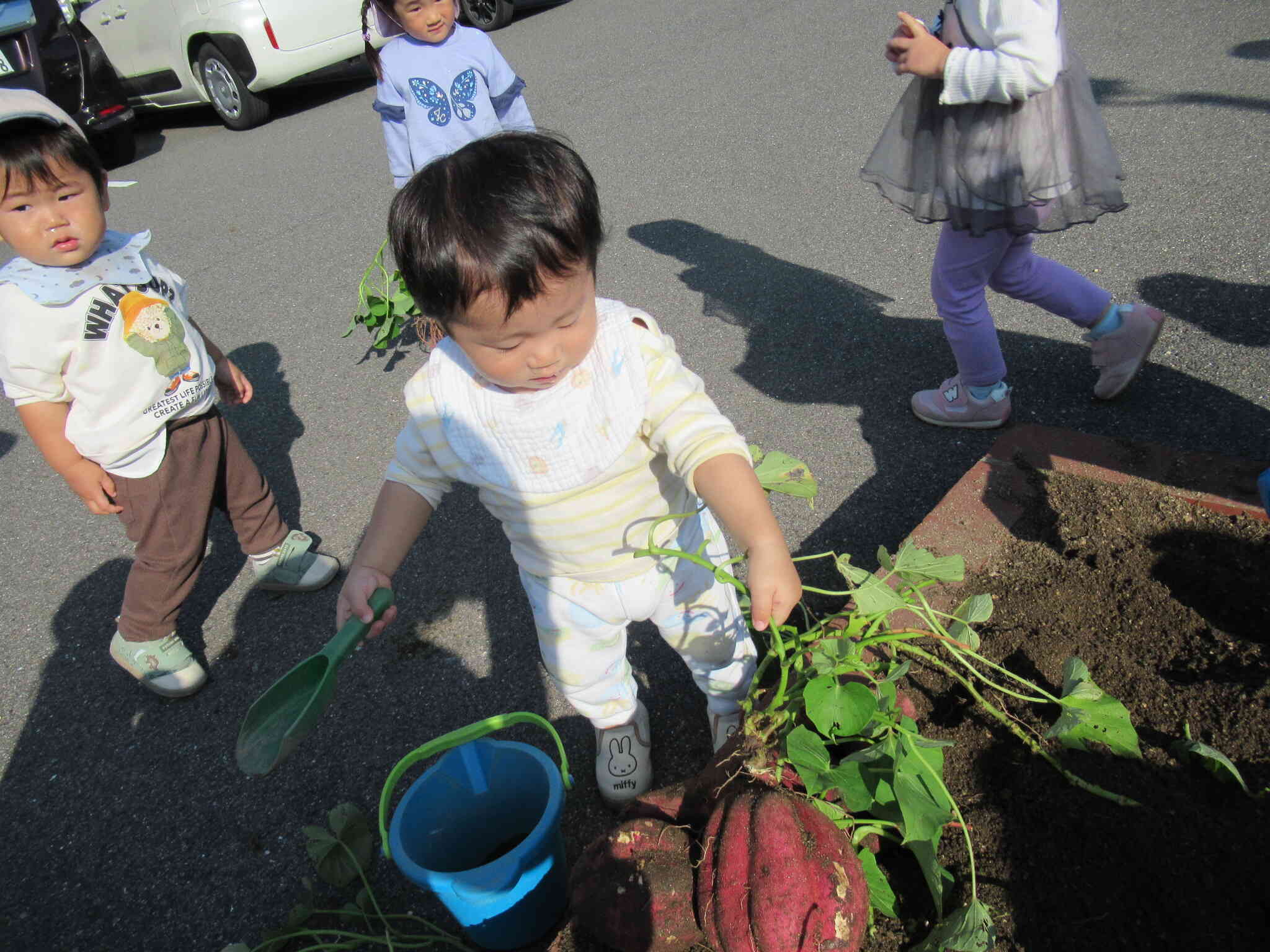 ひよこ組さんも見に来たよ。