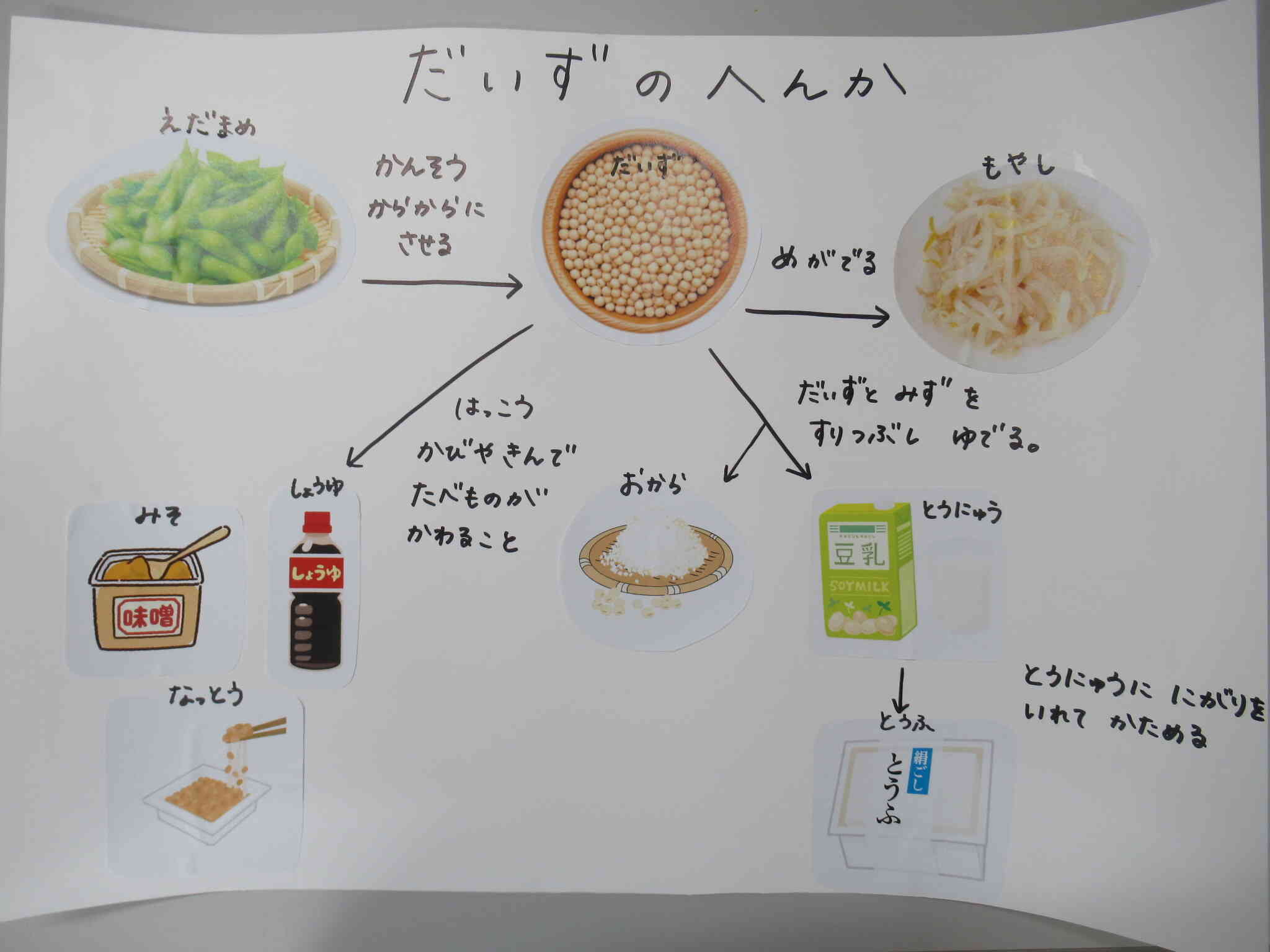 大豆はいろいろな食べ物に変わるんだね！