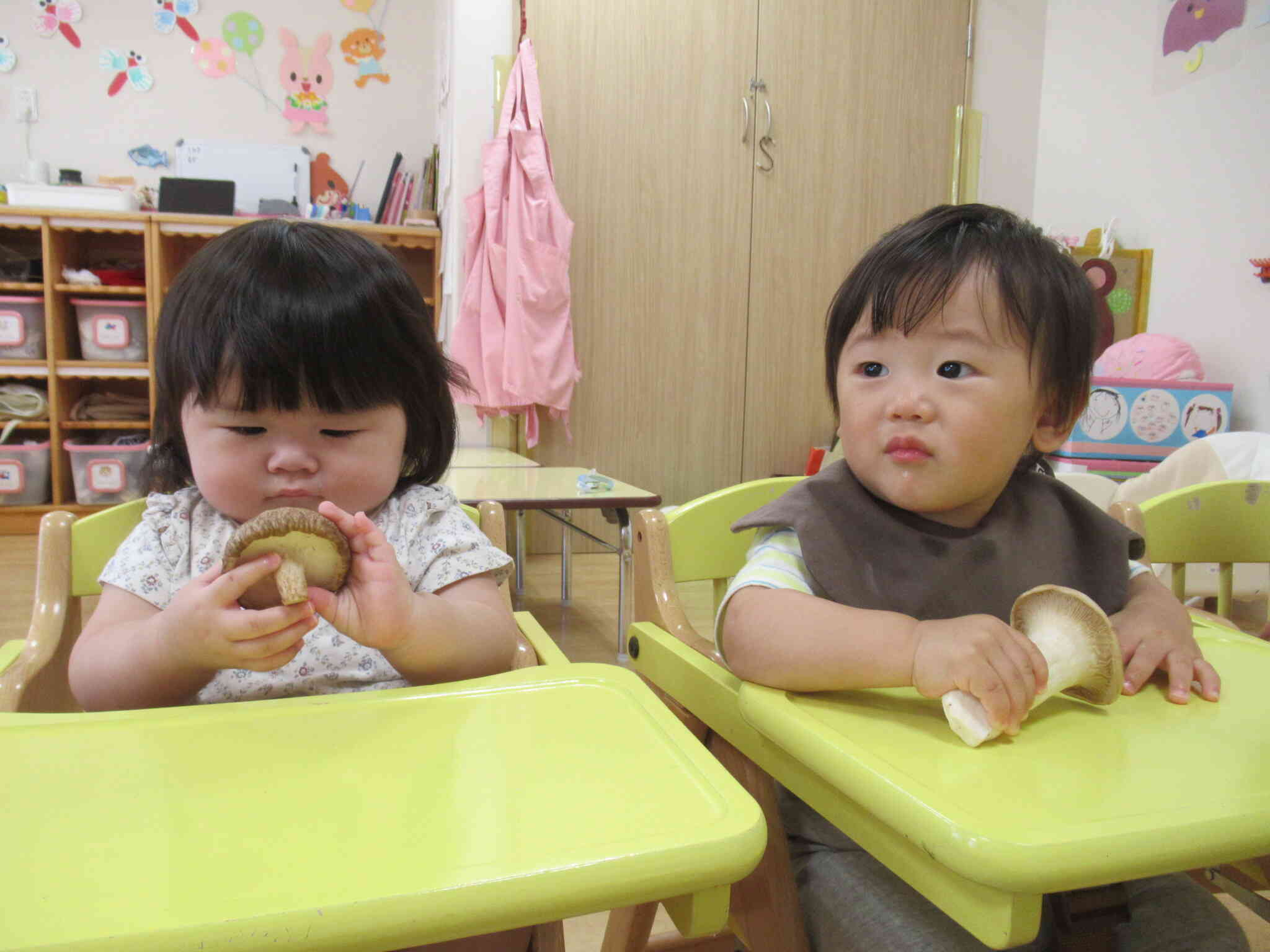 食育　０・１歳児クラス　きのこの観察、きのこさき