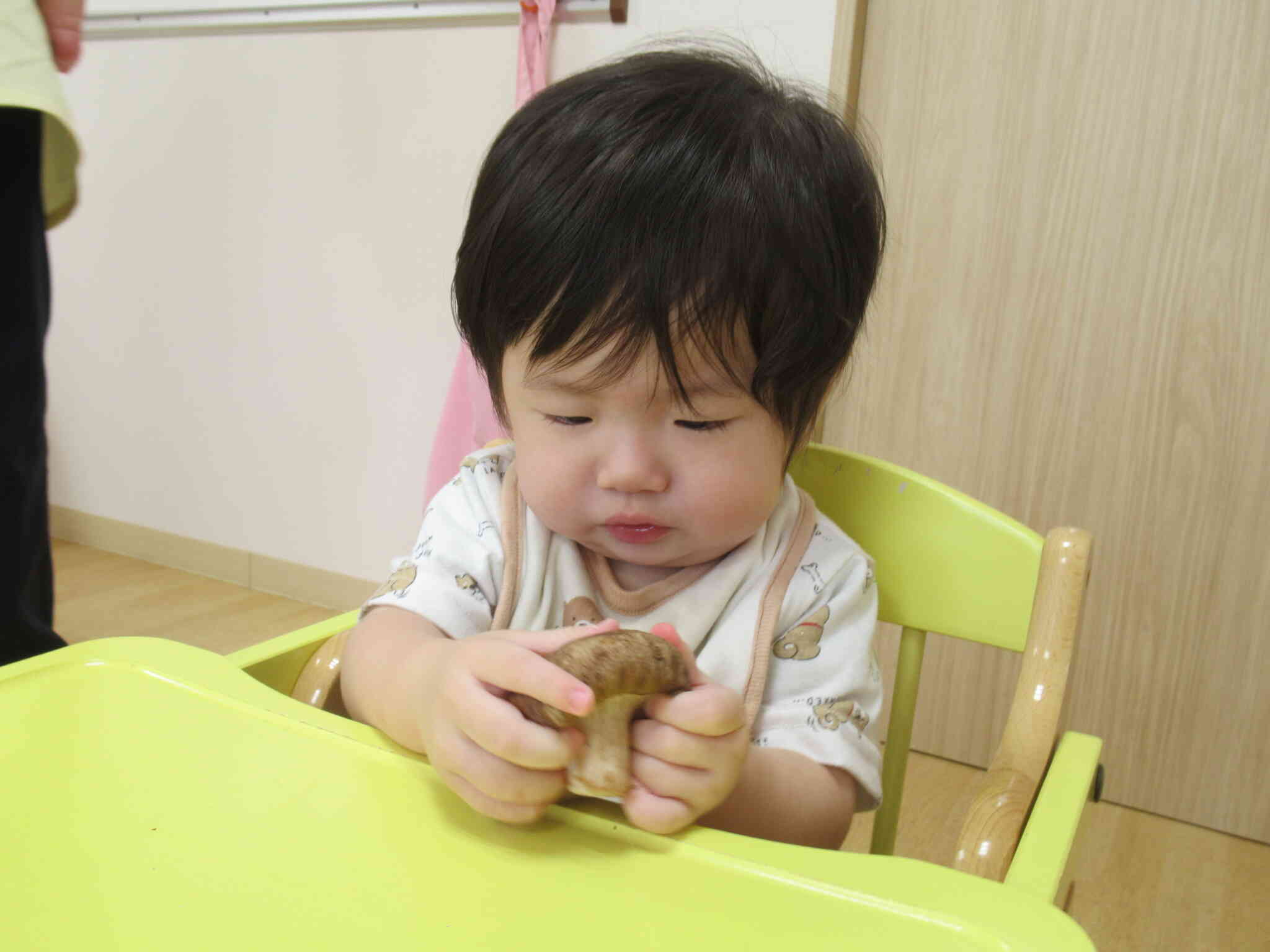 きのこに興味津々