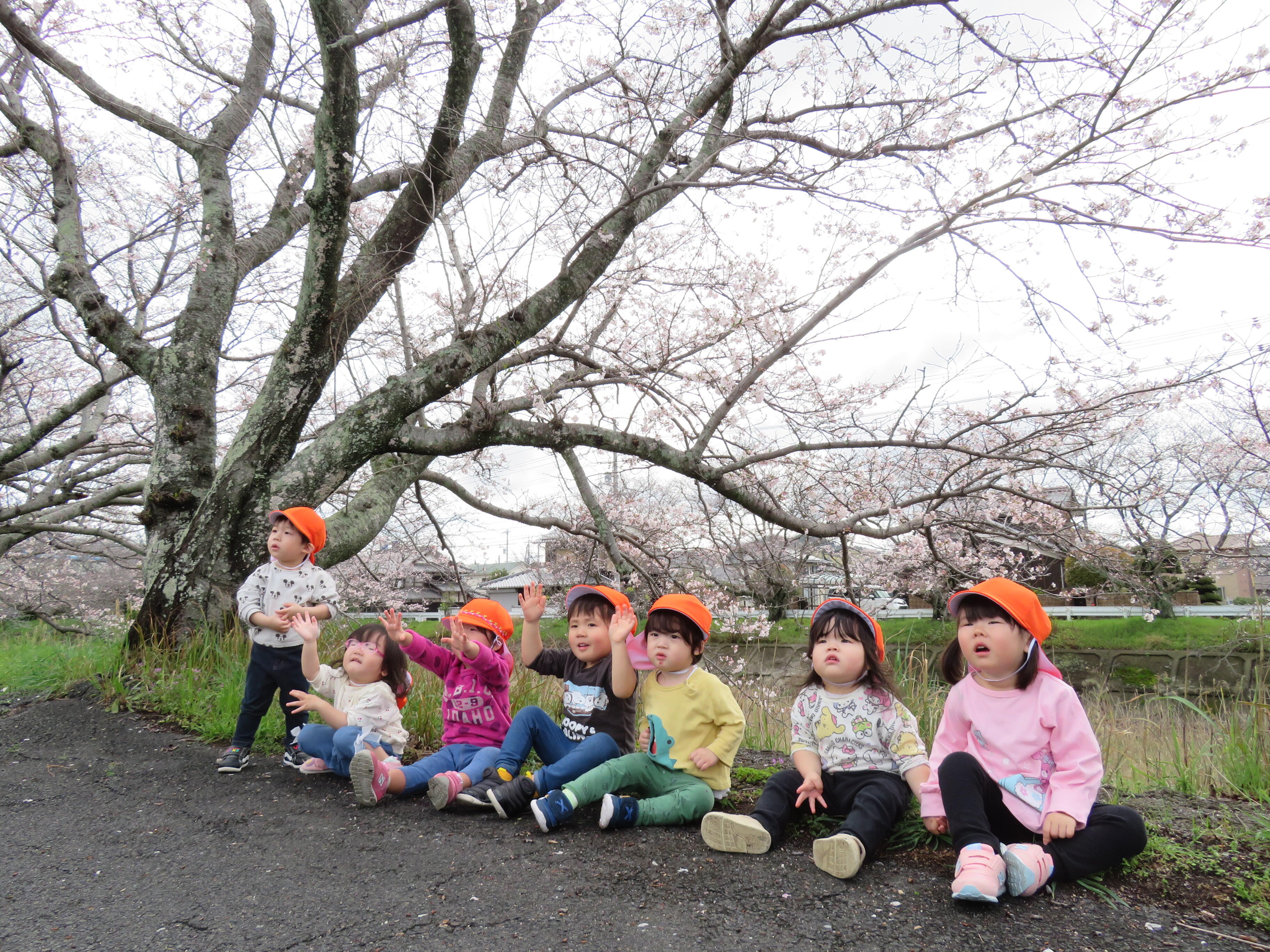 末武川の桜が、4月に入ってようやく咲き始めました。桜を愛でる期間はほんのわずかだけれど、春の訪れはうきうきしますね。