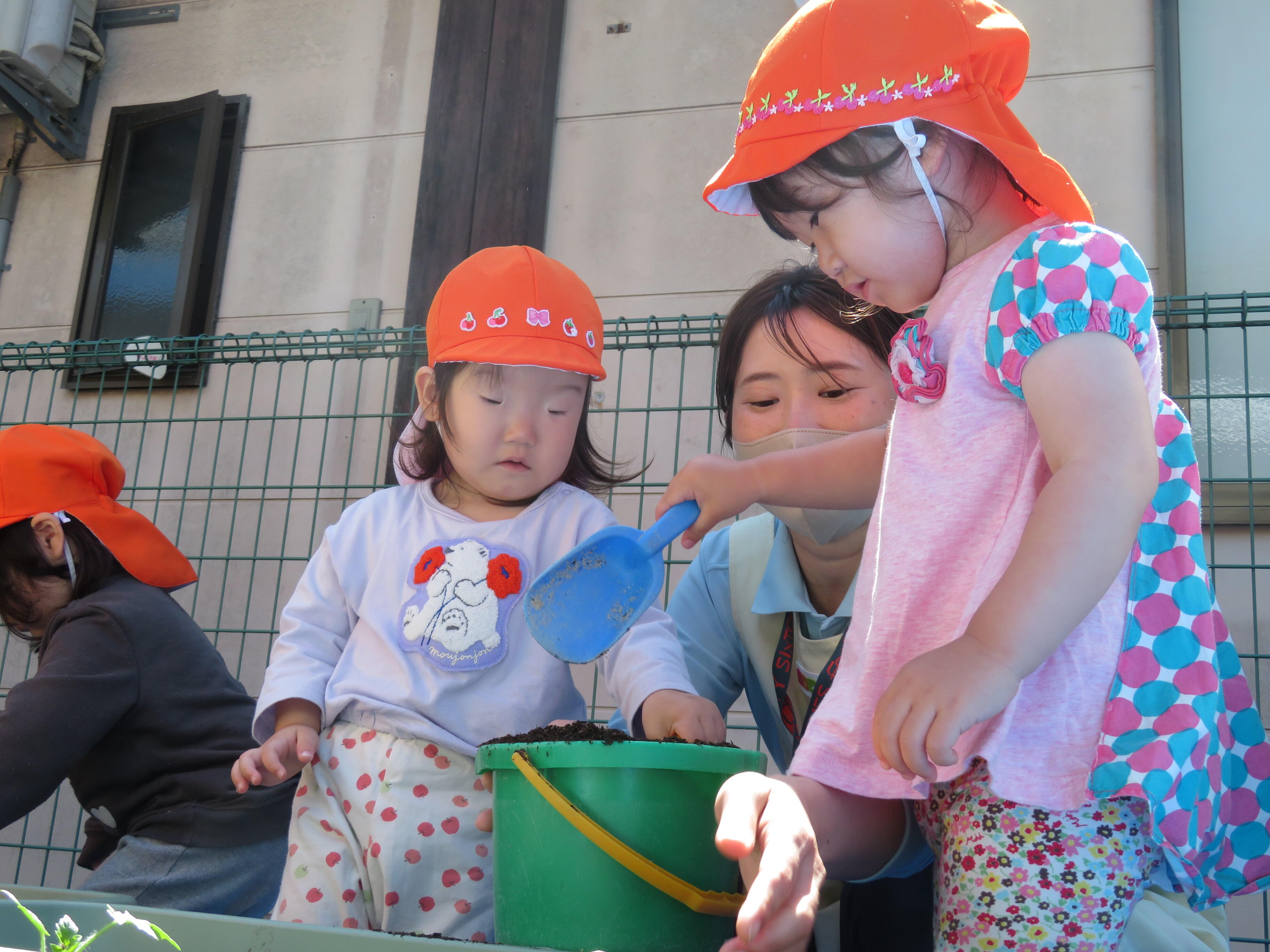 土をかけてあげようね。スコップでお手伝いするのは2歳児の子どもたち。