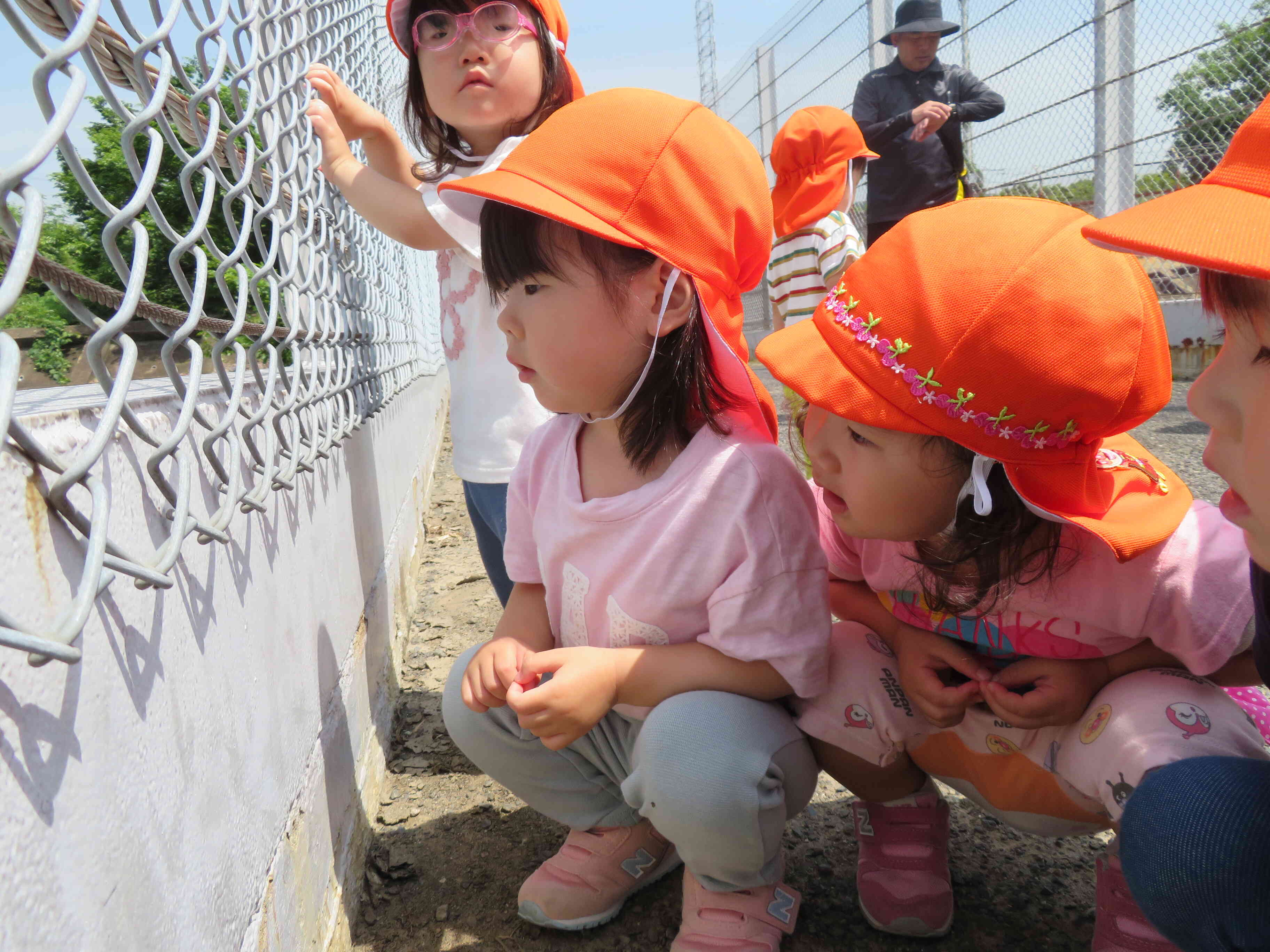 新幹線を待ってる間に、Kちゃんが小さな蜘蛛を見つけました。蜘蛛の巣の上を移動する様子をみんなで眺めたひととき。