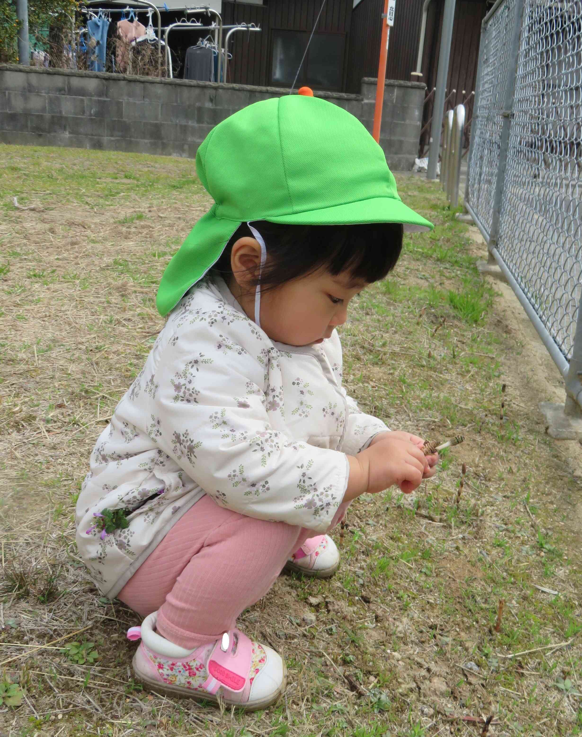 春をみつけた