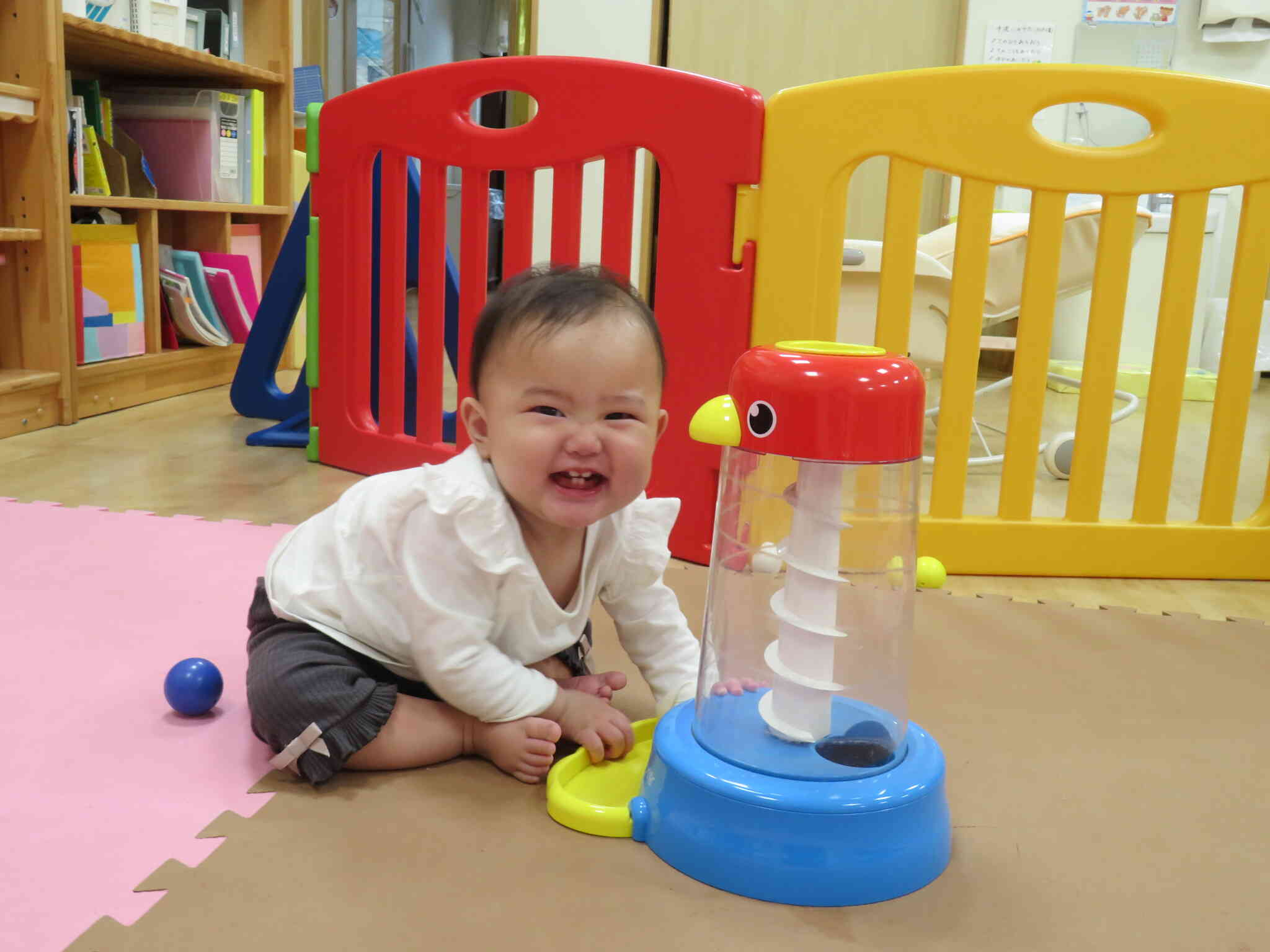 上に玉を入れると、コロコロ転がって落ちてくる。0歳児さんお気に入りのおもちゃです。