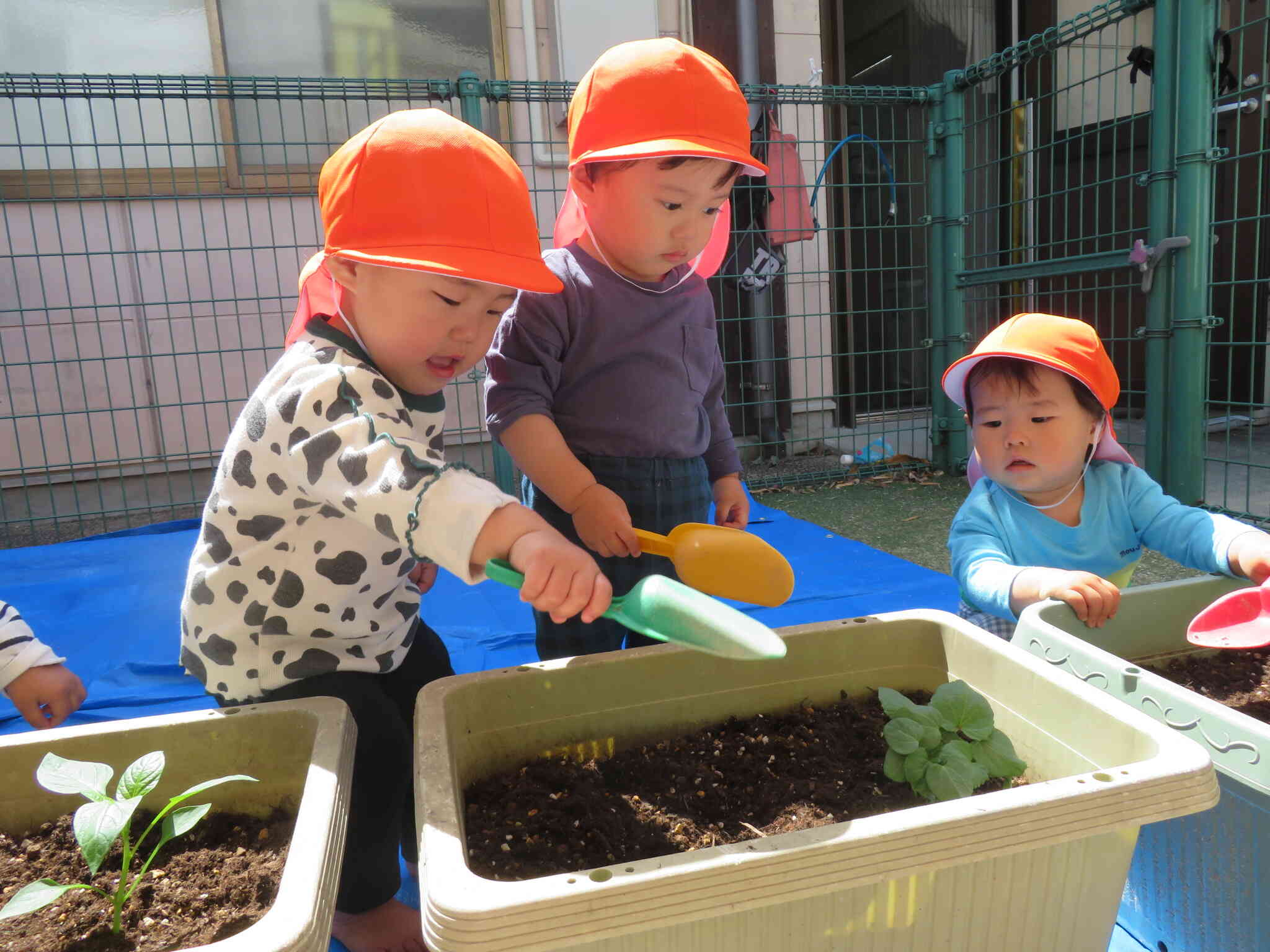 とっても積極的に参加してくれる1歳児の子どもたちでした。
