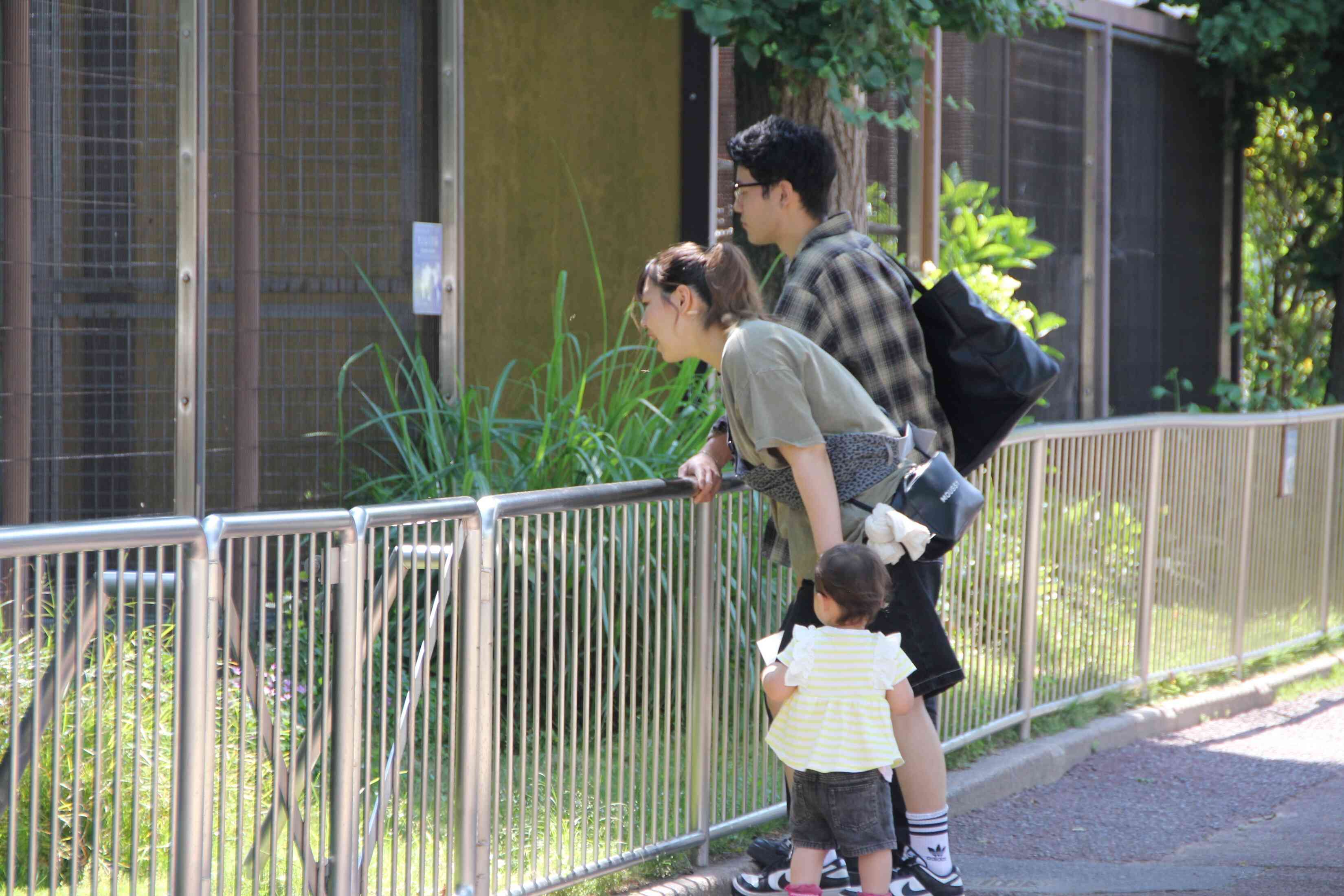 お父さんお母さんもゆっくりと散策を楽しんでくださっています。