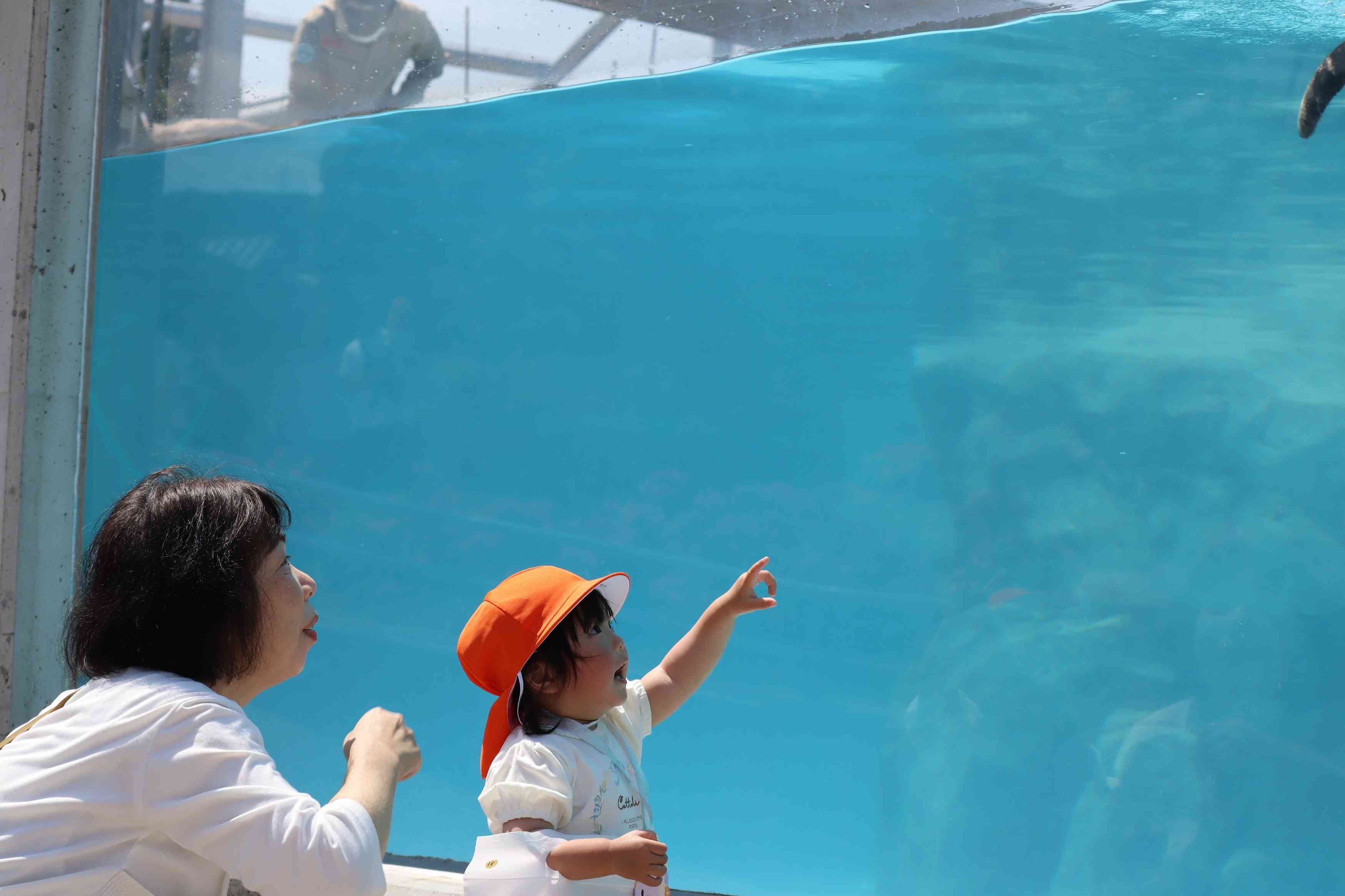 悠々と泳ぐペンギンが見られる水槽の前でとっても嬉しそう。
