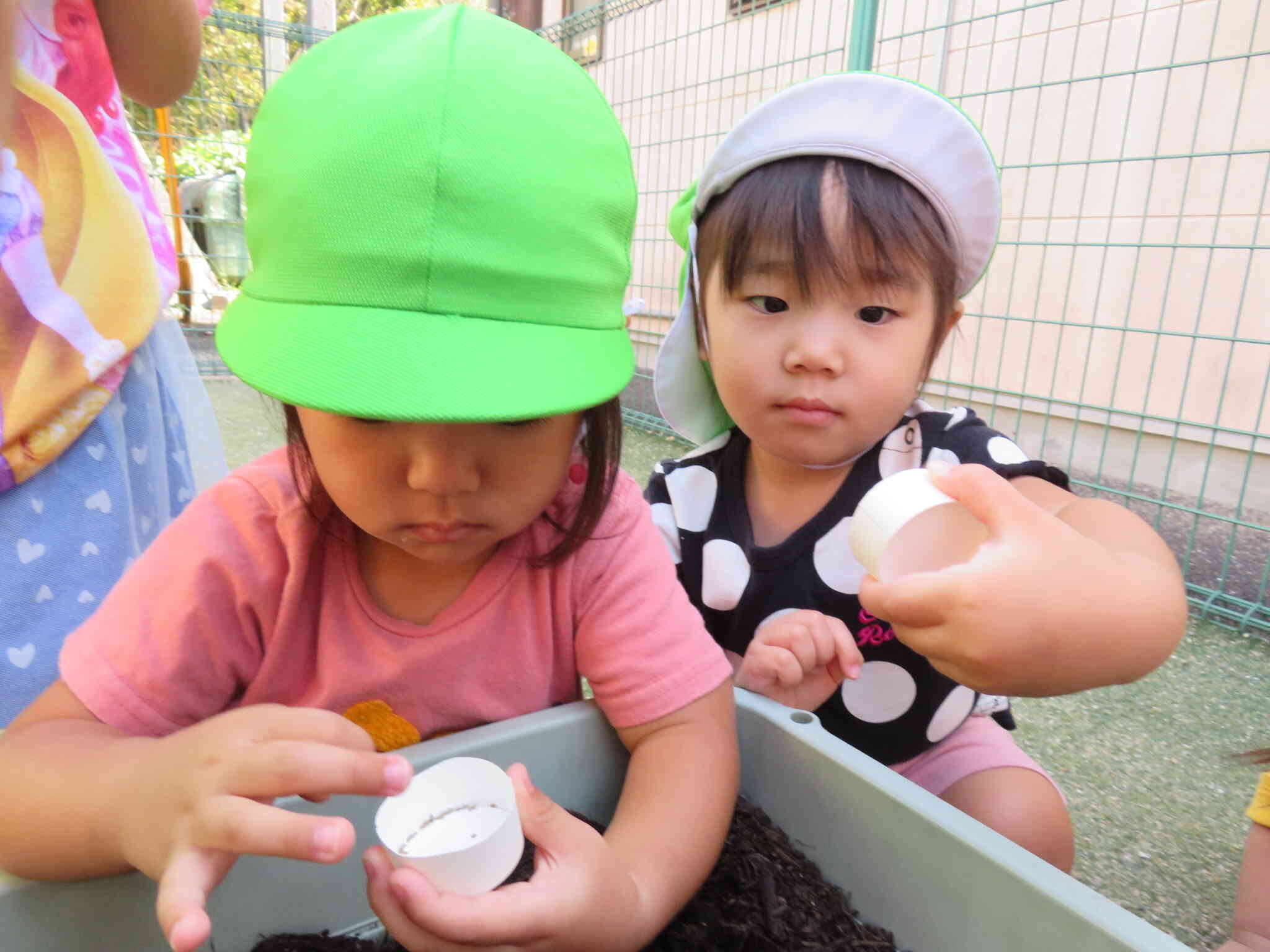 ミニキャロットの種ってちっちゃいね～。