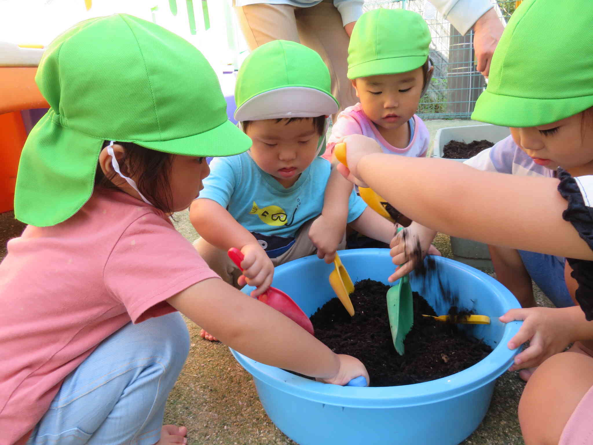 2歳児さんはミニキャロットの種植えもしました。