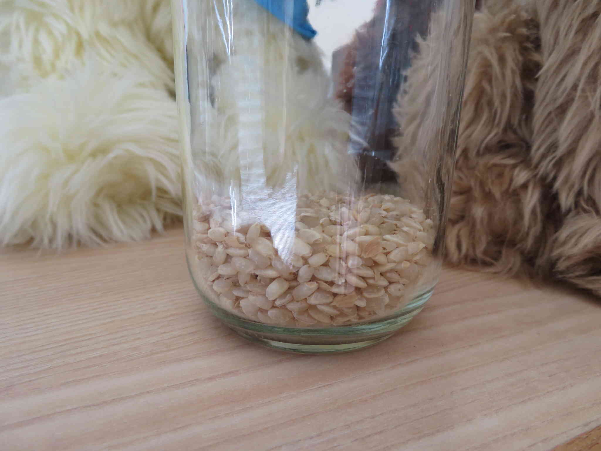 脱穀して、もみすりをしました。あとは瓶に入れ、棒でつき、精米します。