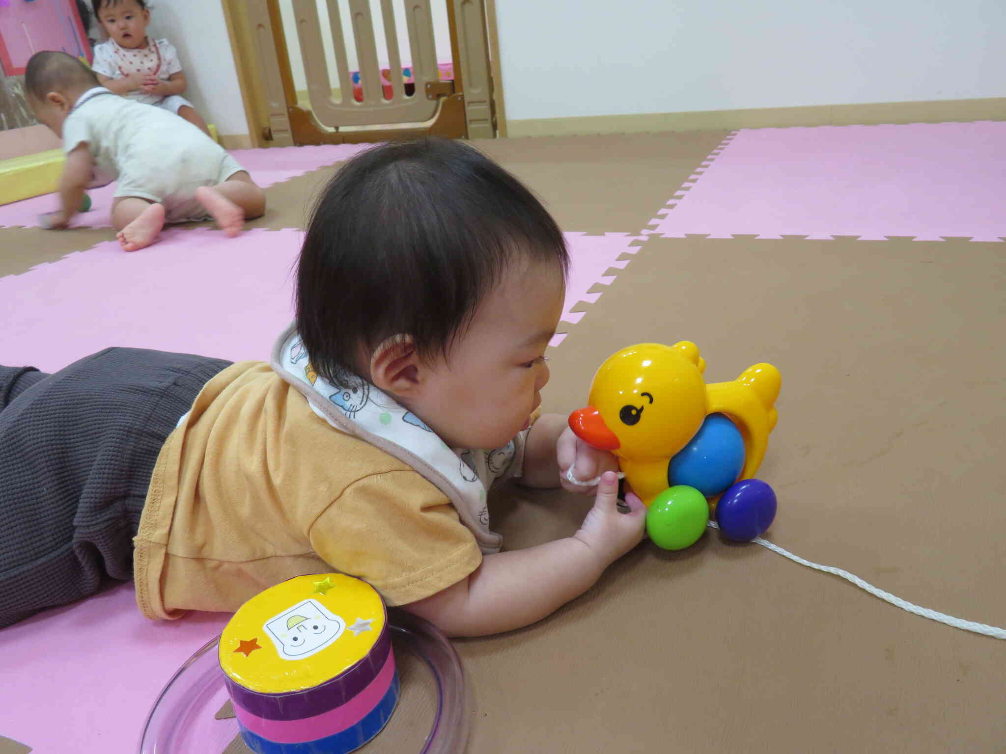 新しいお友だちを紹介します